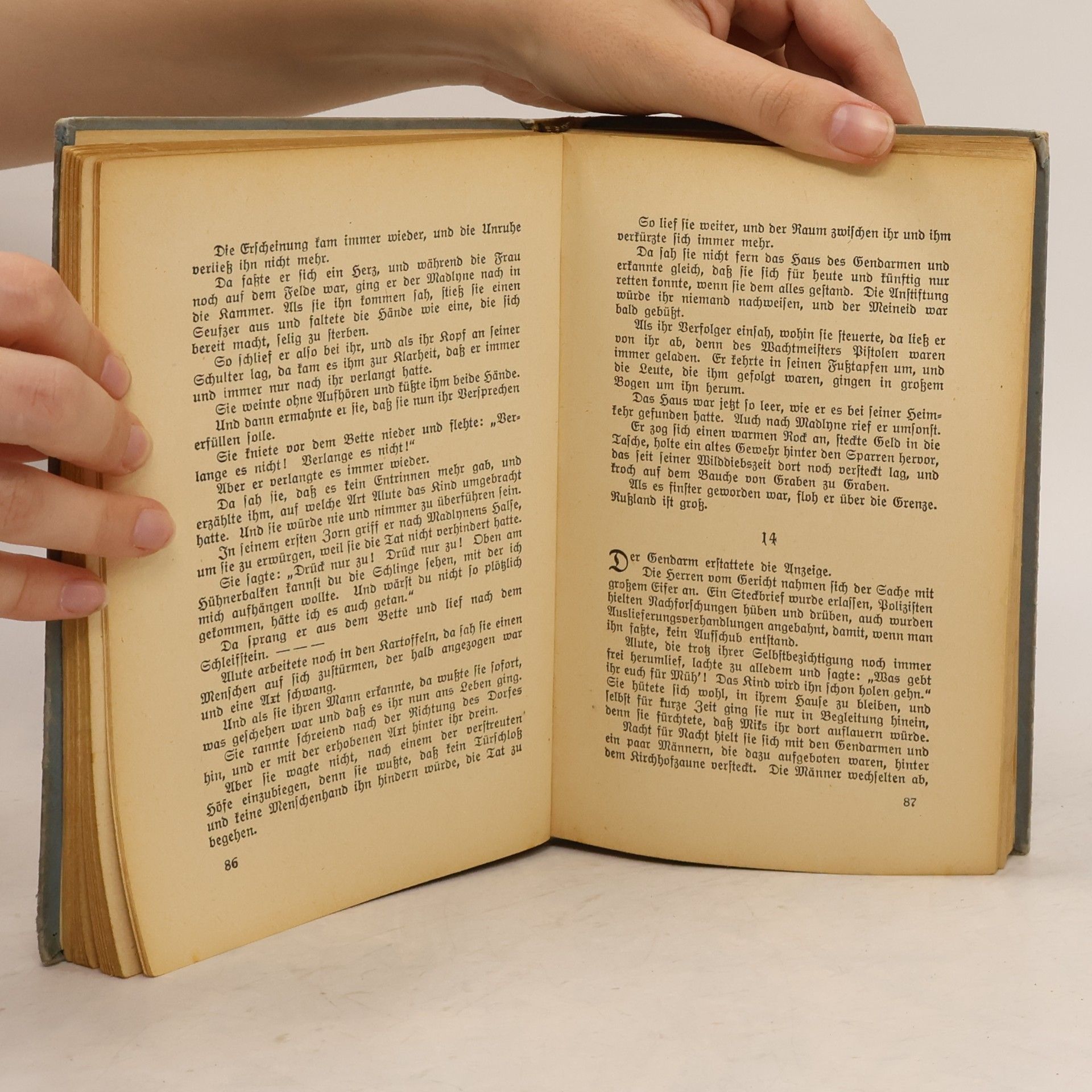 Hermann Südermann Romane und Novellen 6