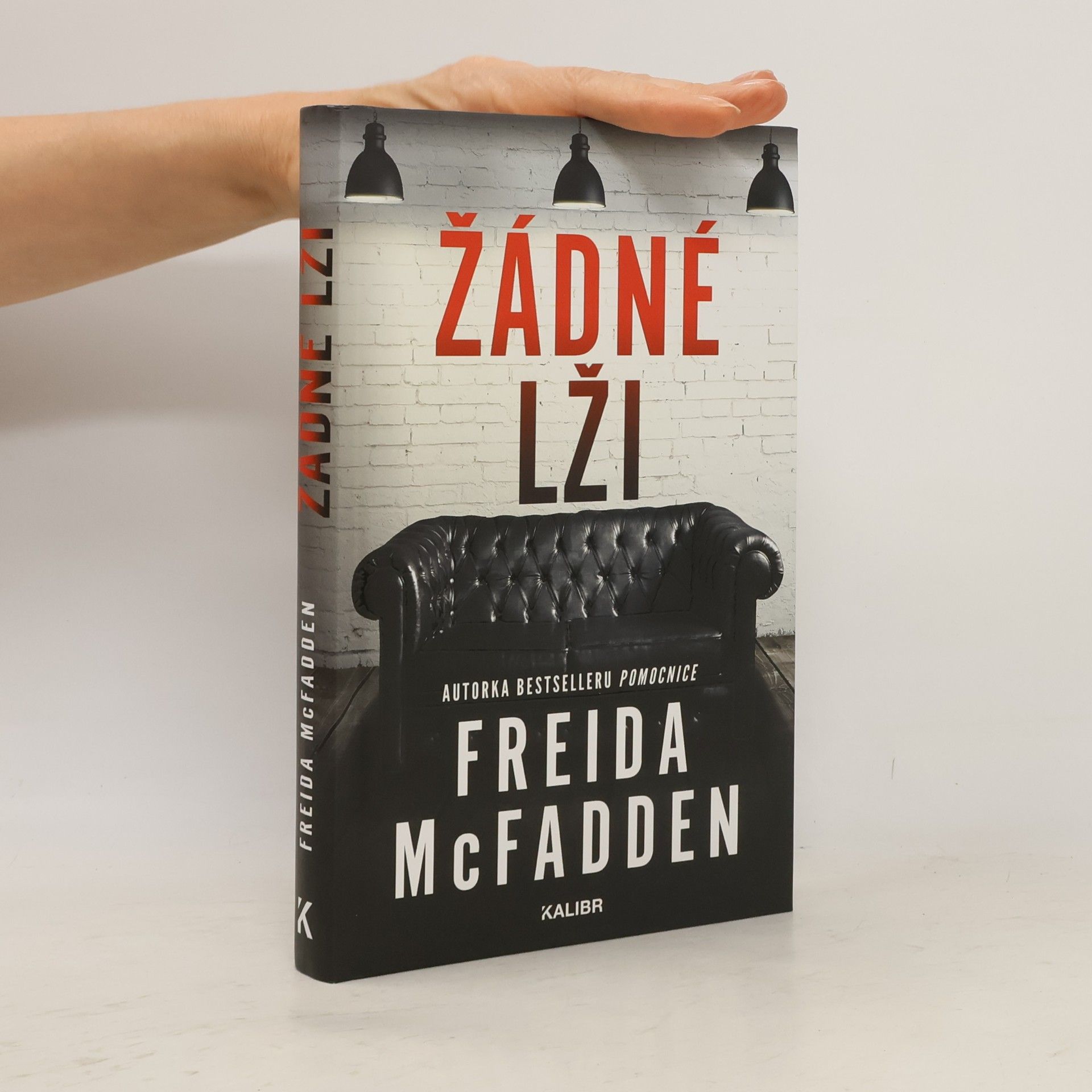 Freida McFadden Žádné lži