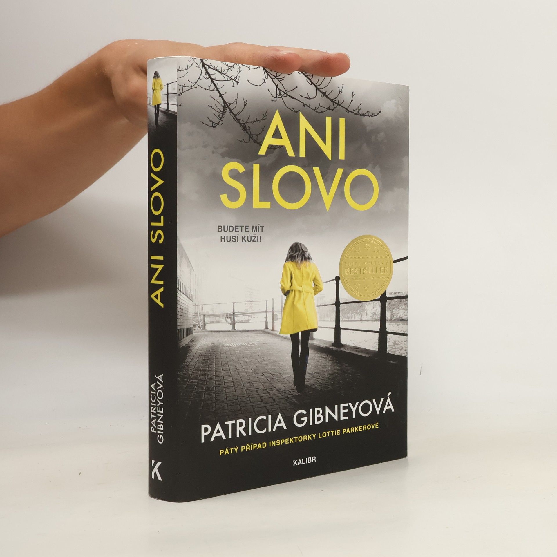 Patricia Gibney Ani slovo