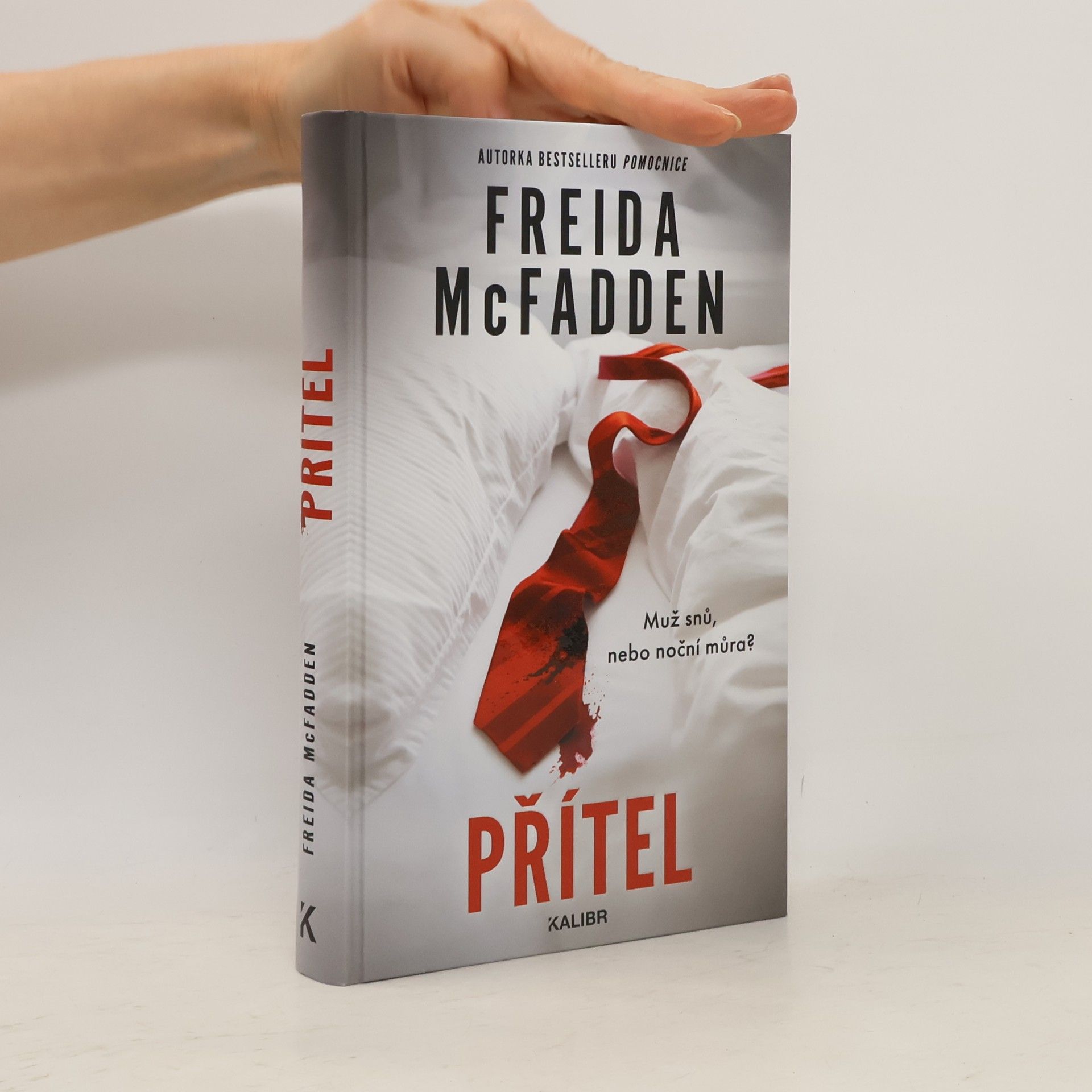 Freida McFaddenová Přítel