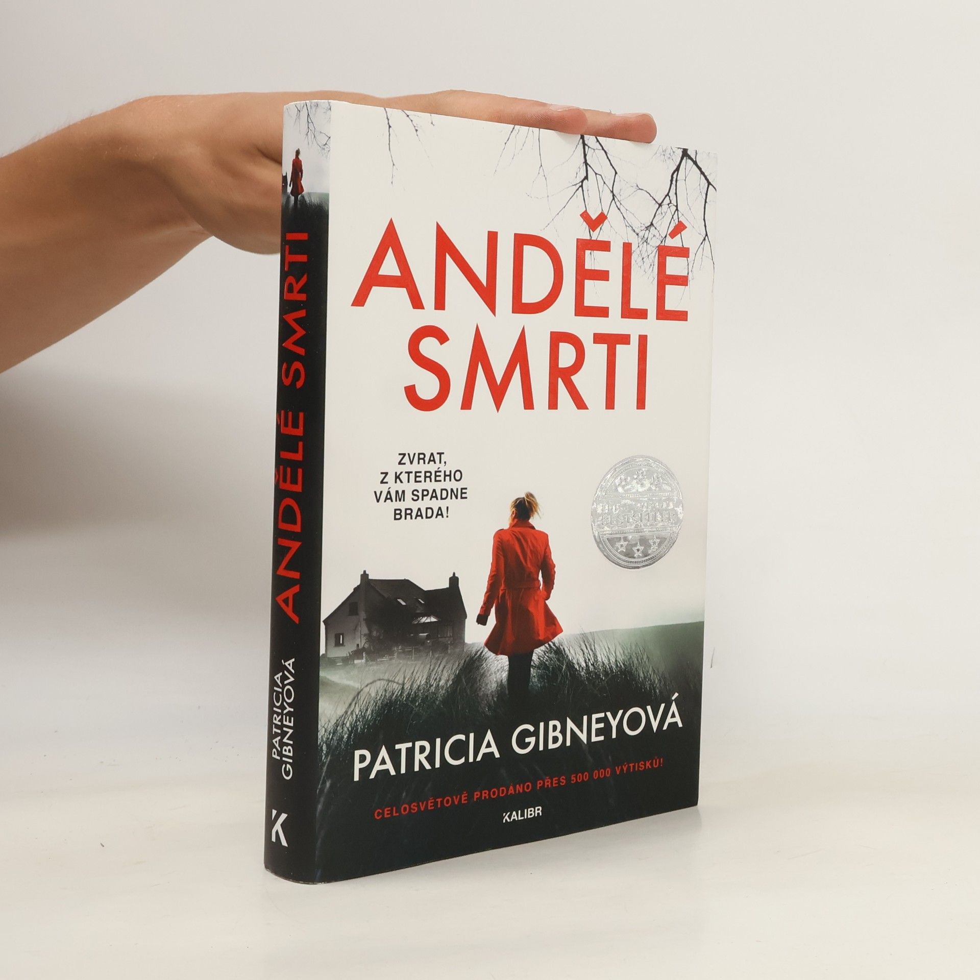 Patricia Gibney Andělé smrti