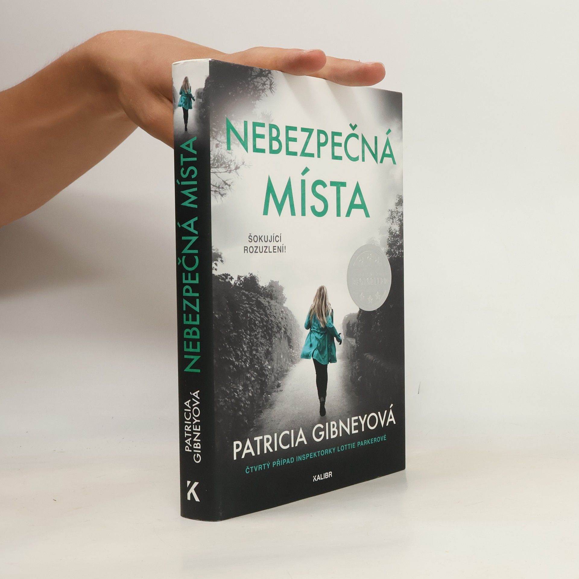 Patricia Gibney Nebezpečná místa