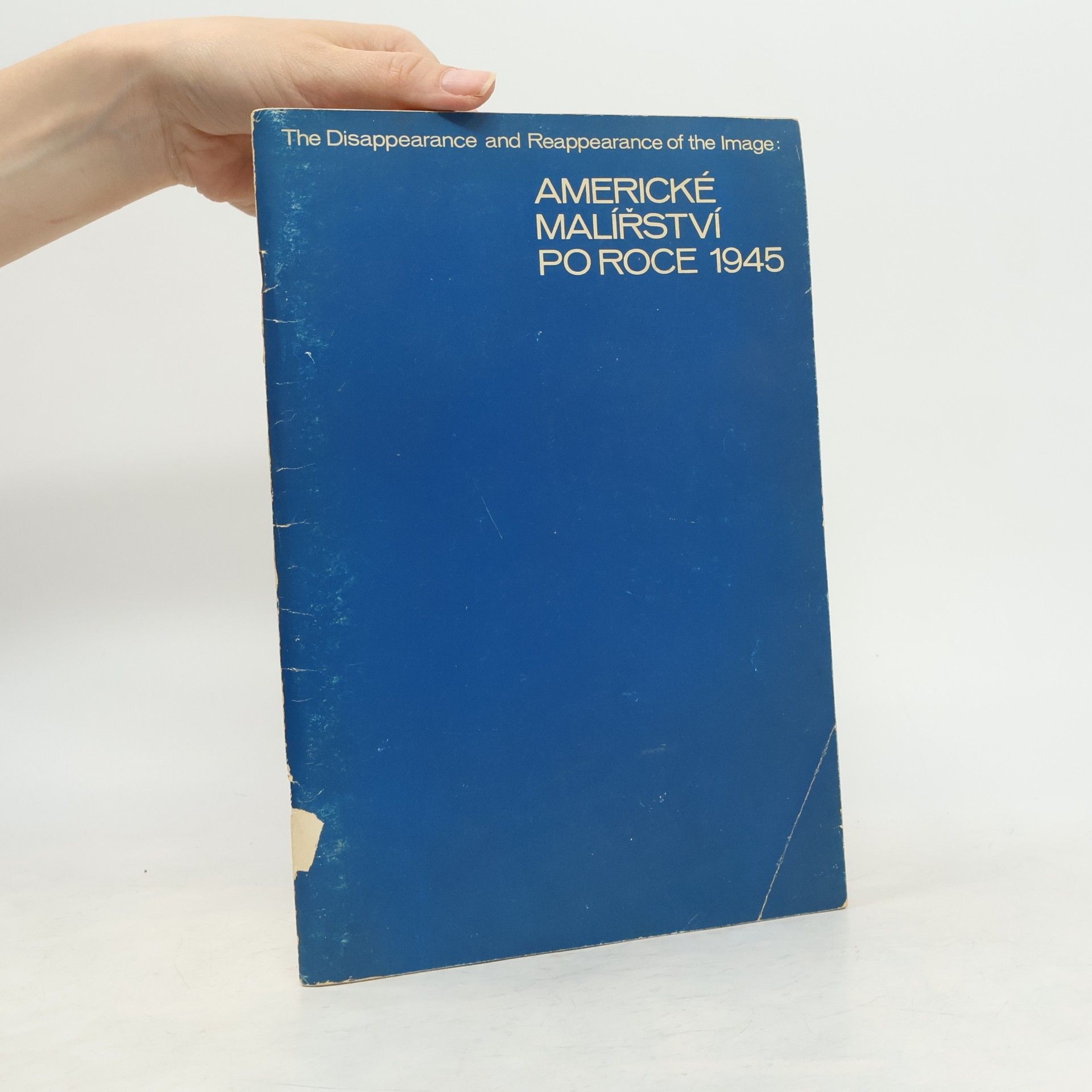 Autorenkollektiv Americké malířství po roce 1945