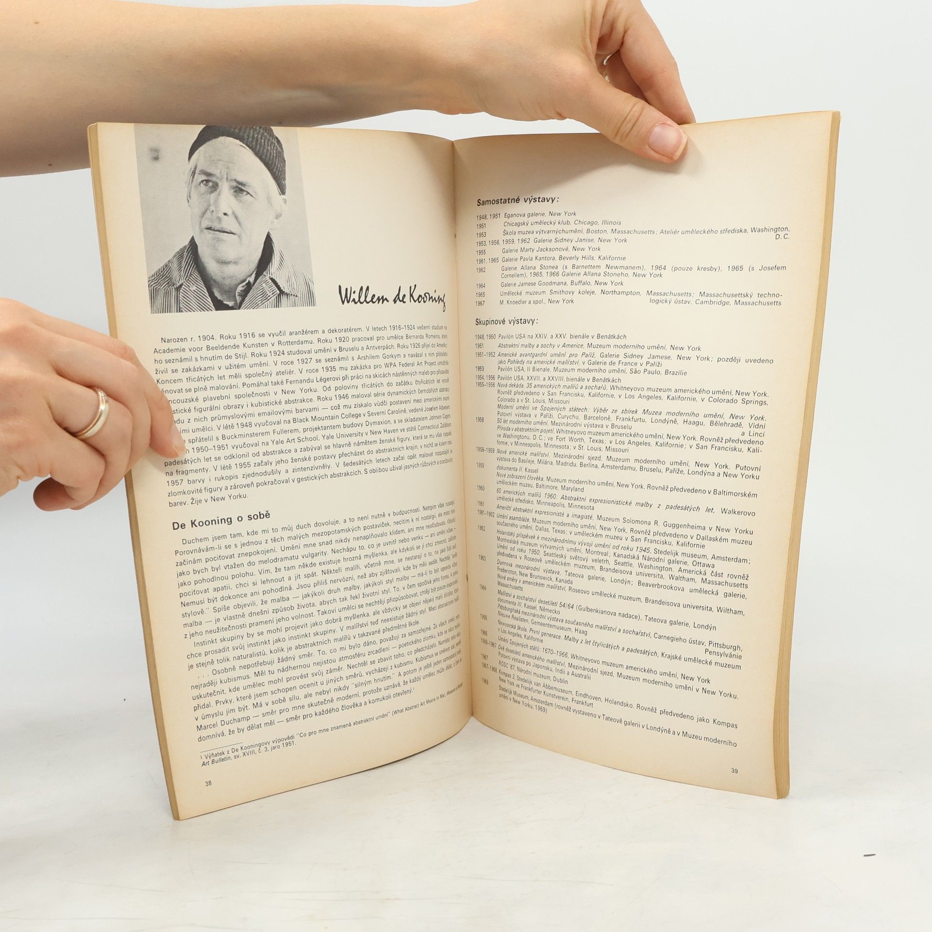 Autores varios Americké malířství po roce 1945