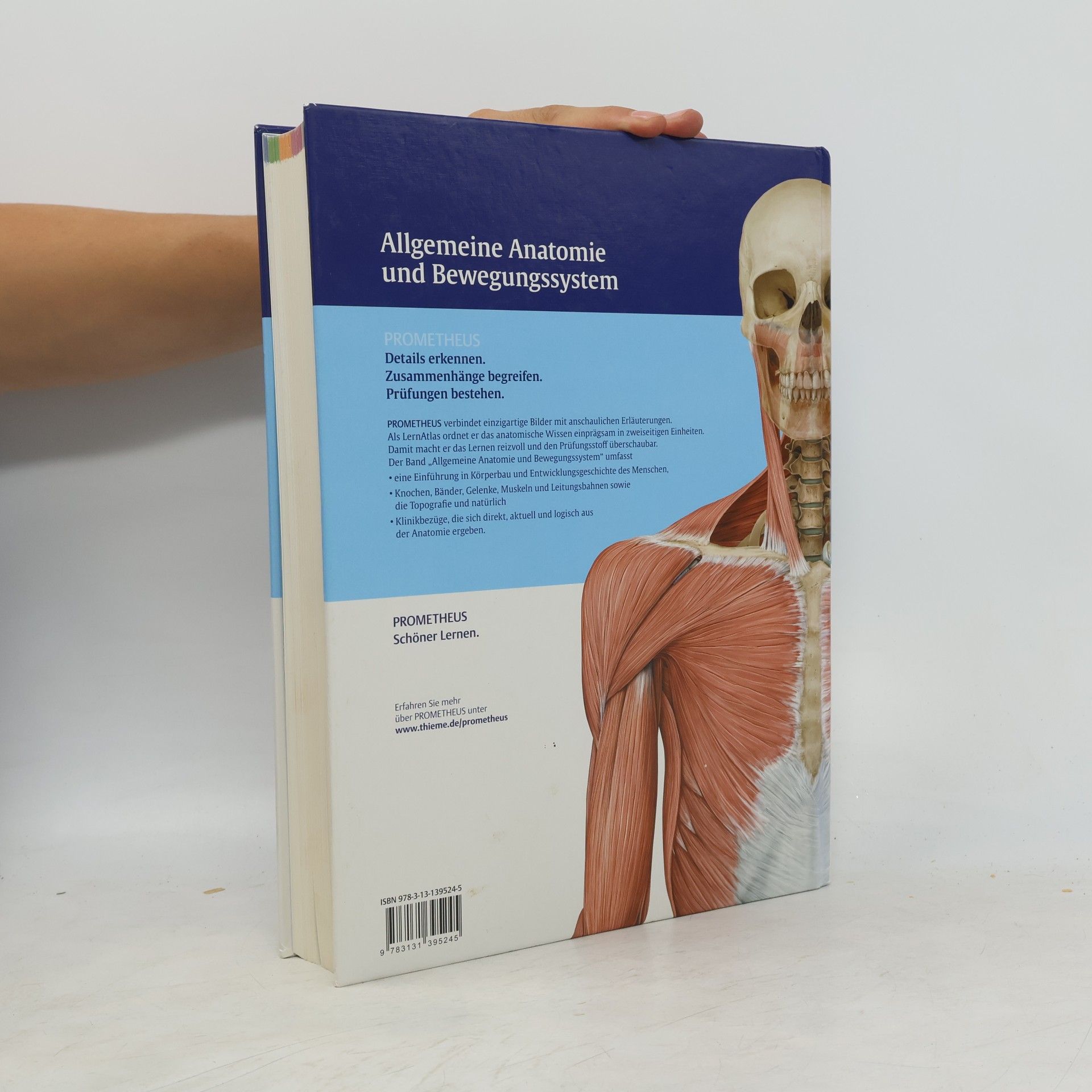 Michael Schünke Prometheus: LernAtlas der Anatomie