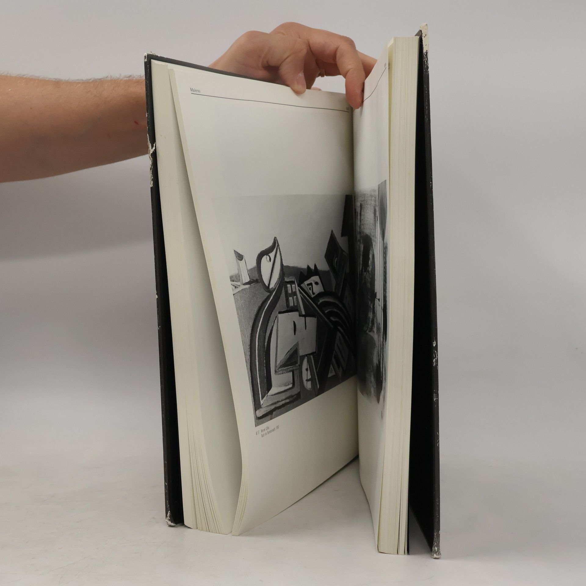 Kolektiv autorů Kunst und Kultur im Rheinland und in Westfalen 1945-1952