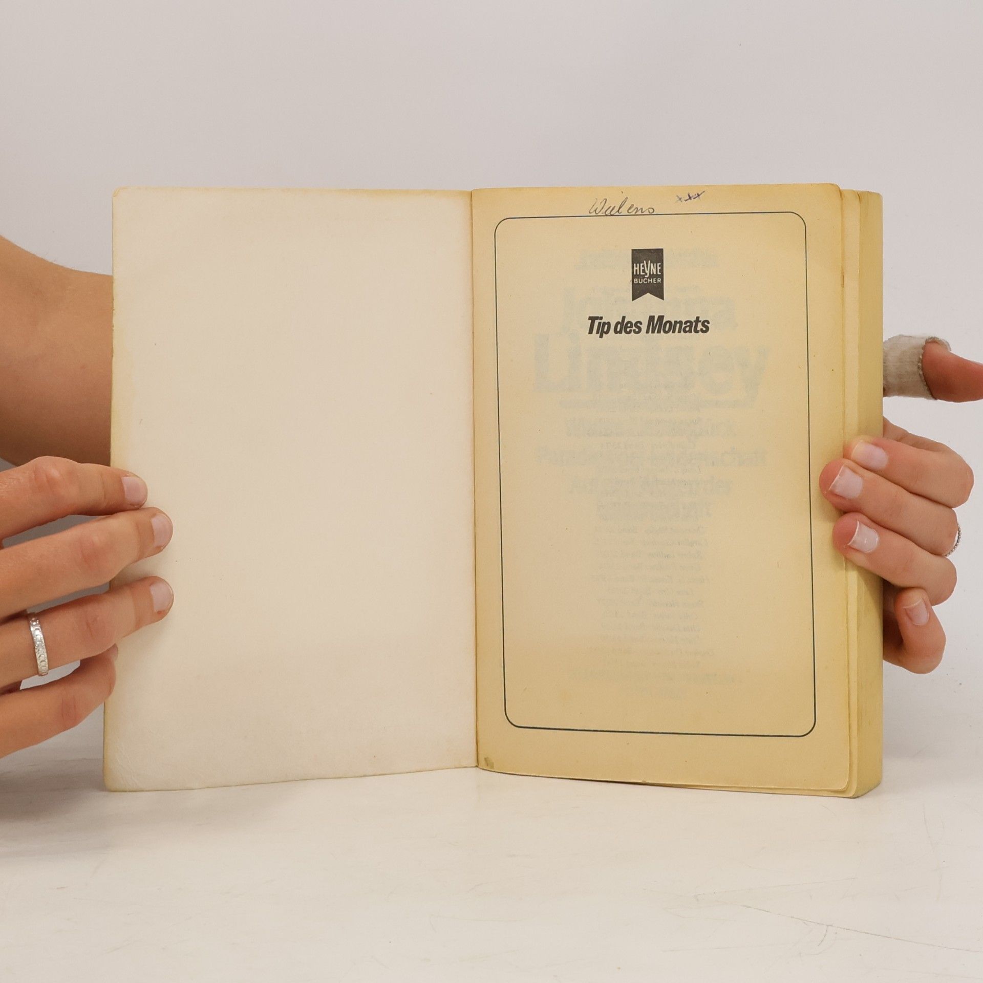 Johana Lindseyová Wildes Liebesglück