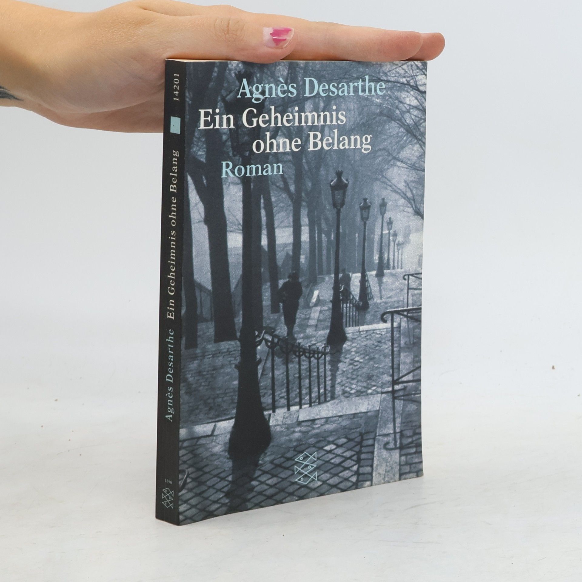 Agnes Desarthe Ein Geheimnis ohne Belang