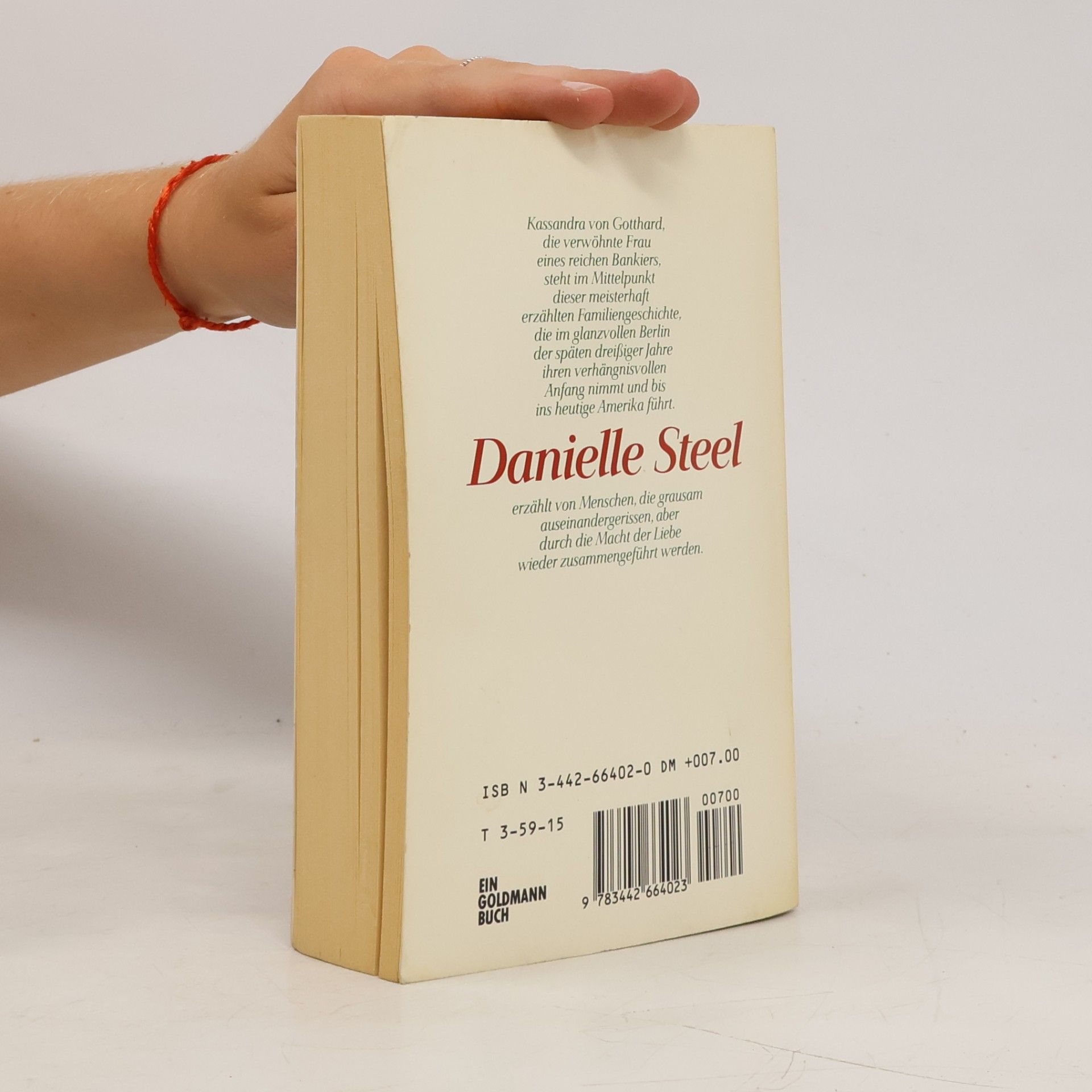 Danielle Steel Der Ring aus Stein
