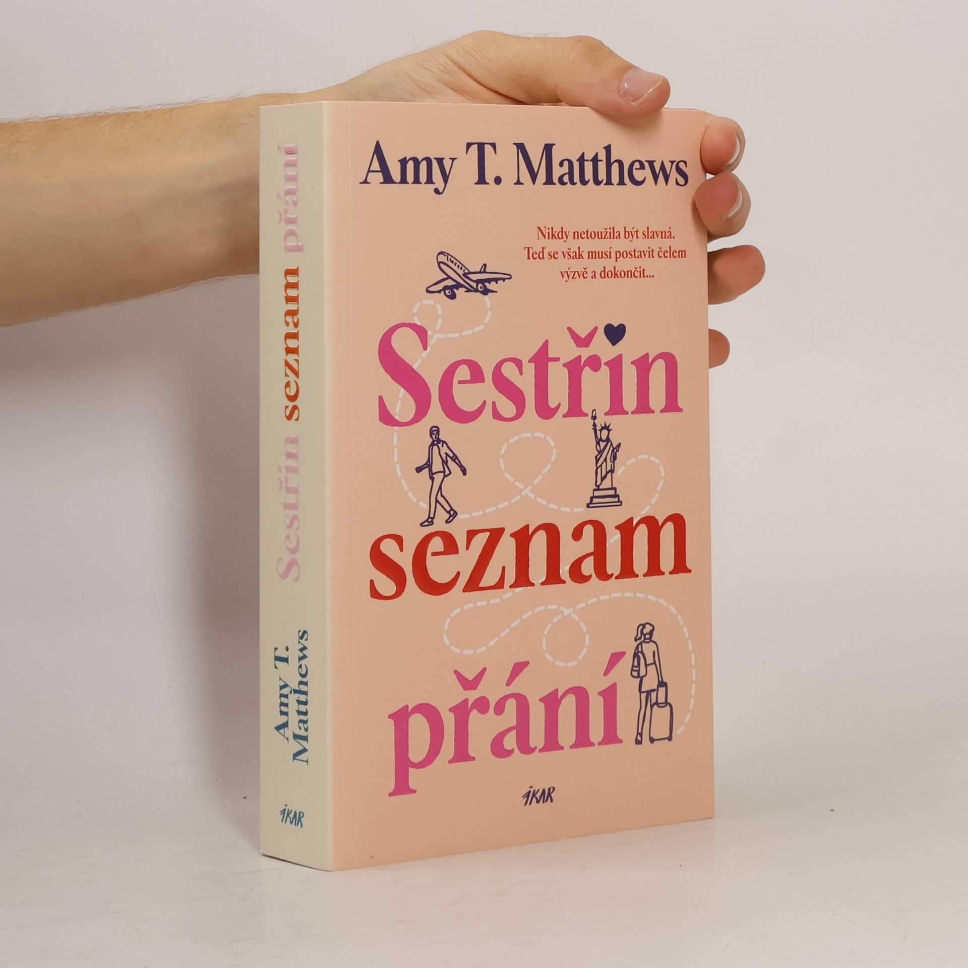 Amy Matthews Sestřin seznam přání