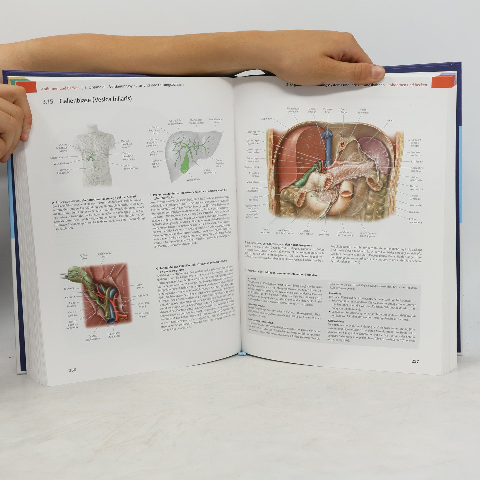 Michael Schünke Prometheus: Lernatlas der Anatomie. Lern Paket