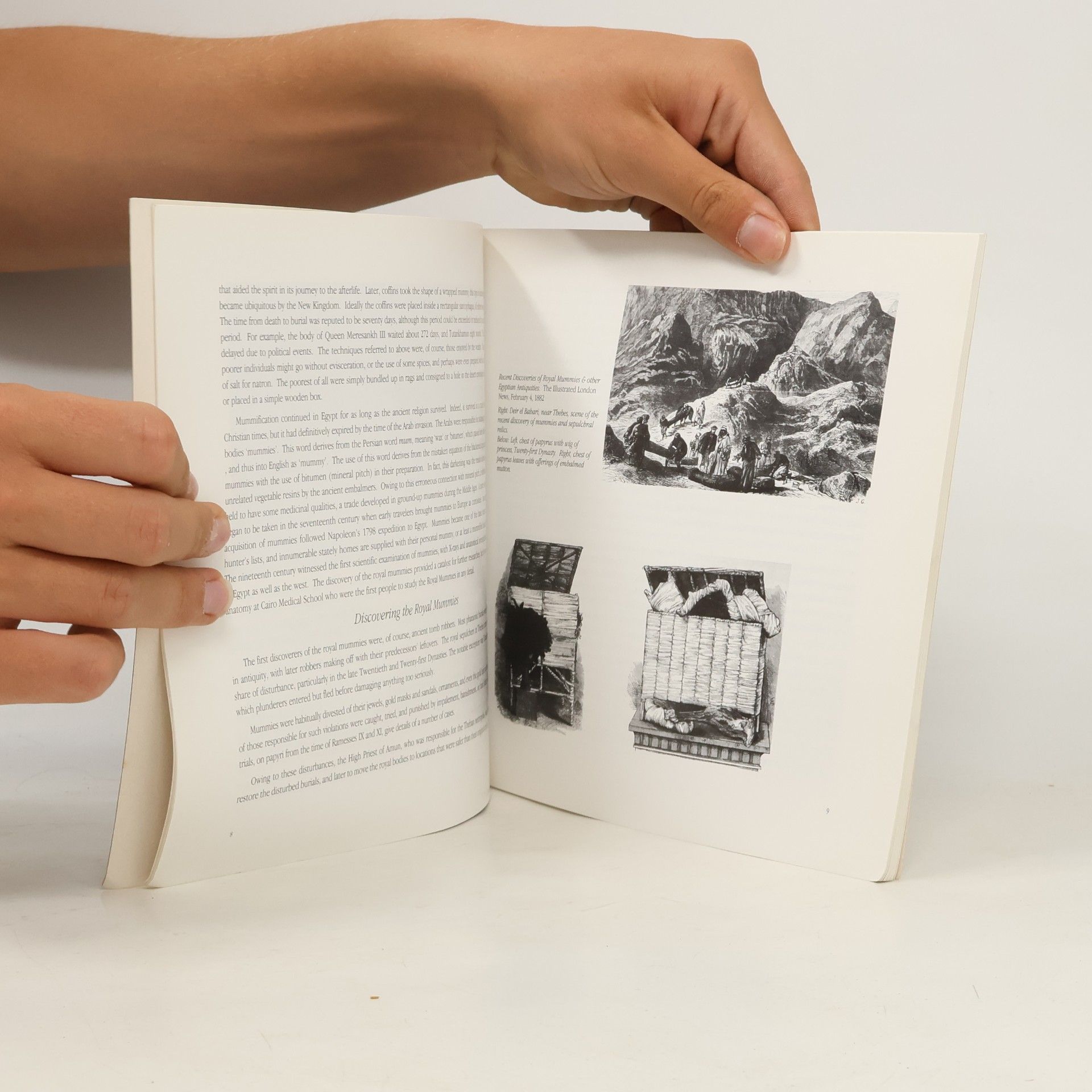 Salima Ikram A Zeitouna Book: Royal Mummies