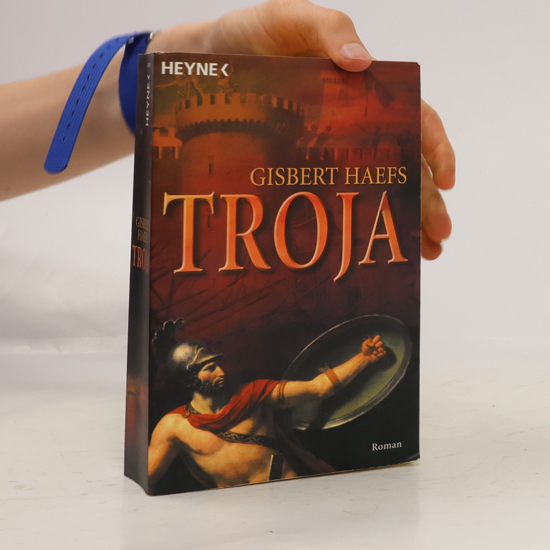 Gisbert Haefs Troja