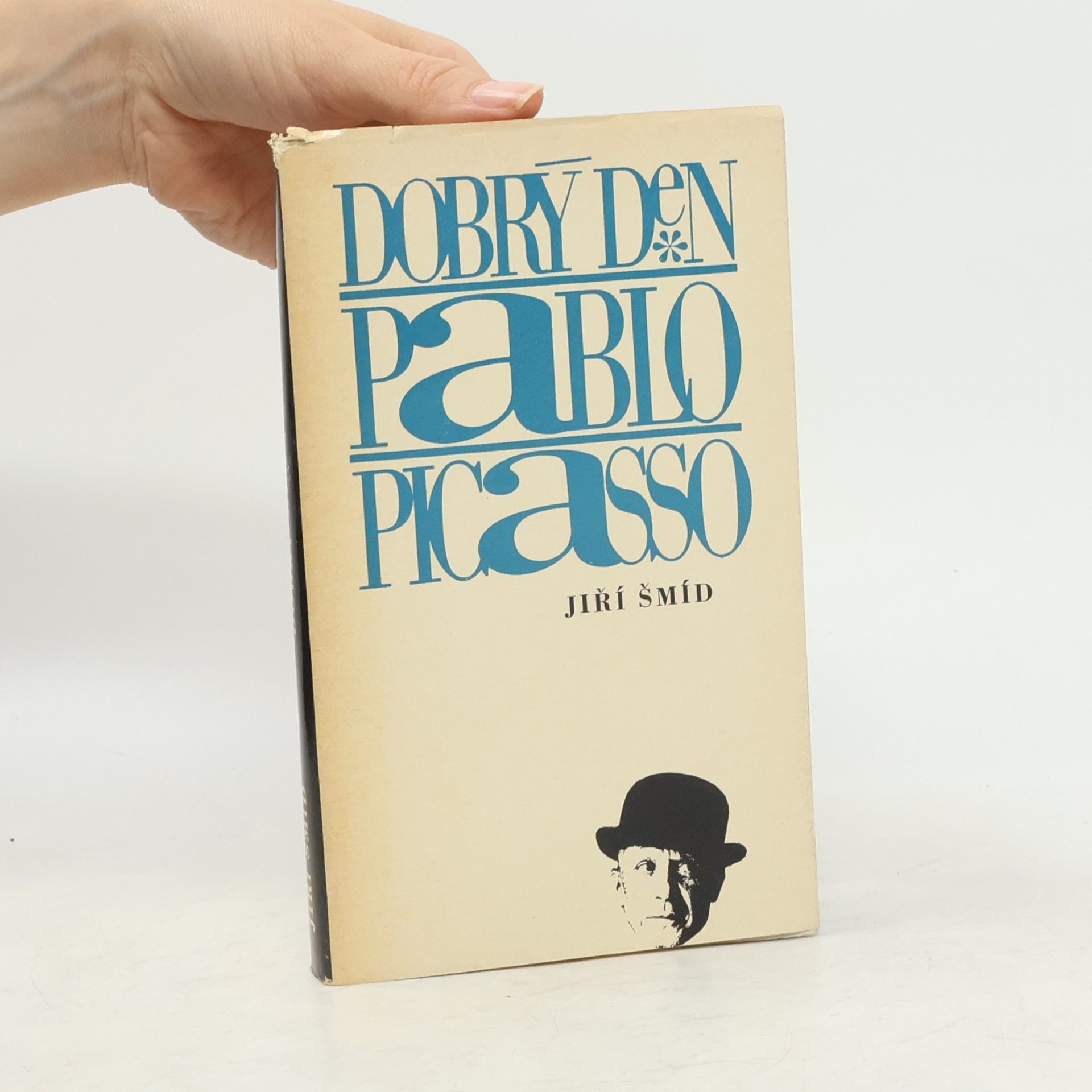 Jiří Šmíd Dobrý den Pablo Picasso. Úvahy sebrané cestou.