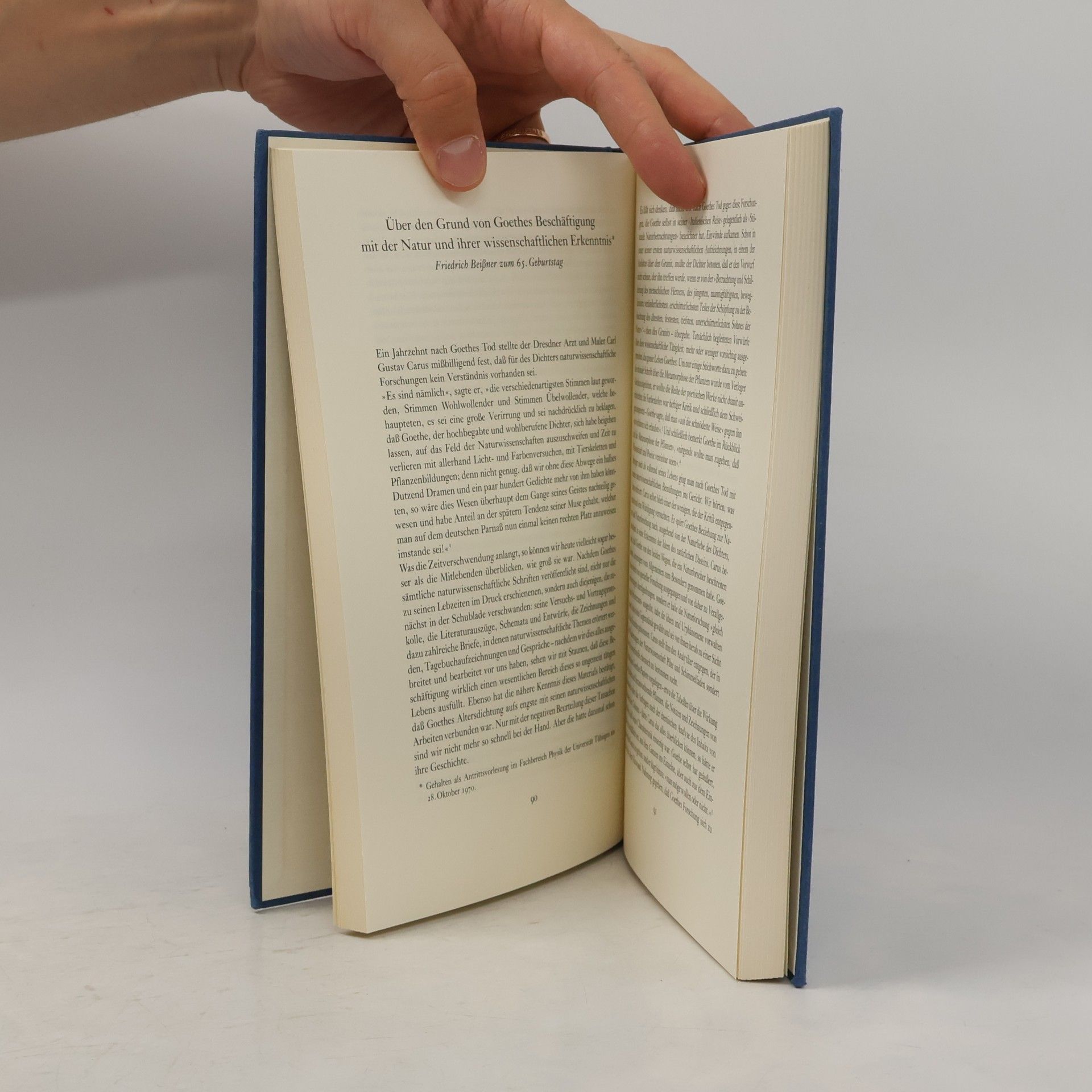 Dorothea Kuhn Typus und Metamorphose