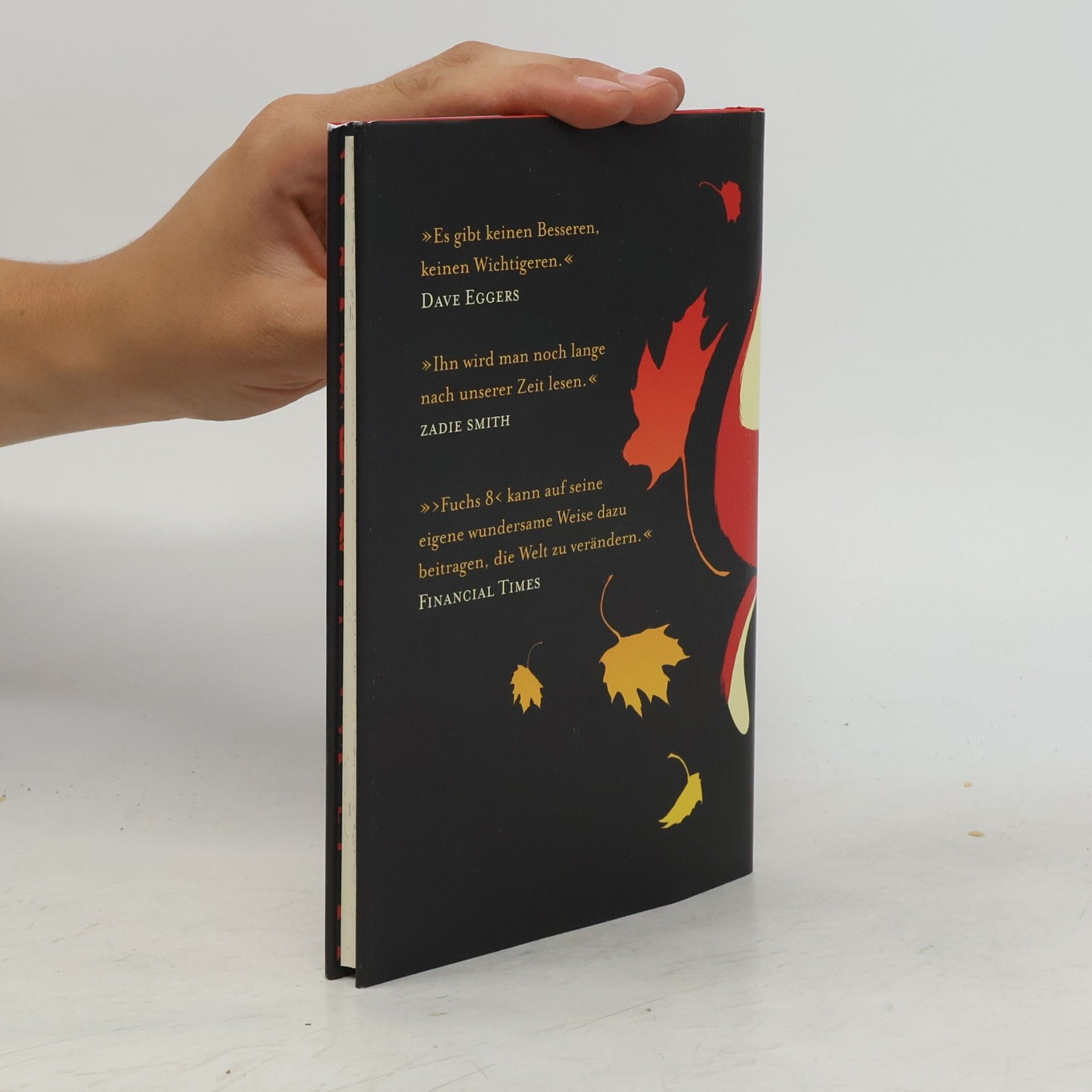 George Saunders Fuchs 8