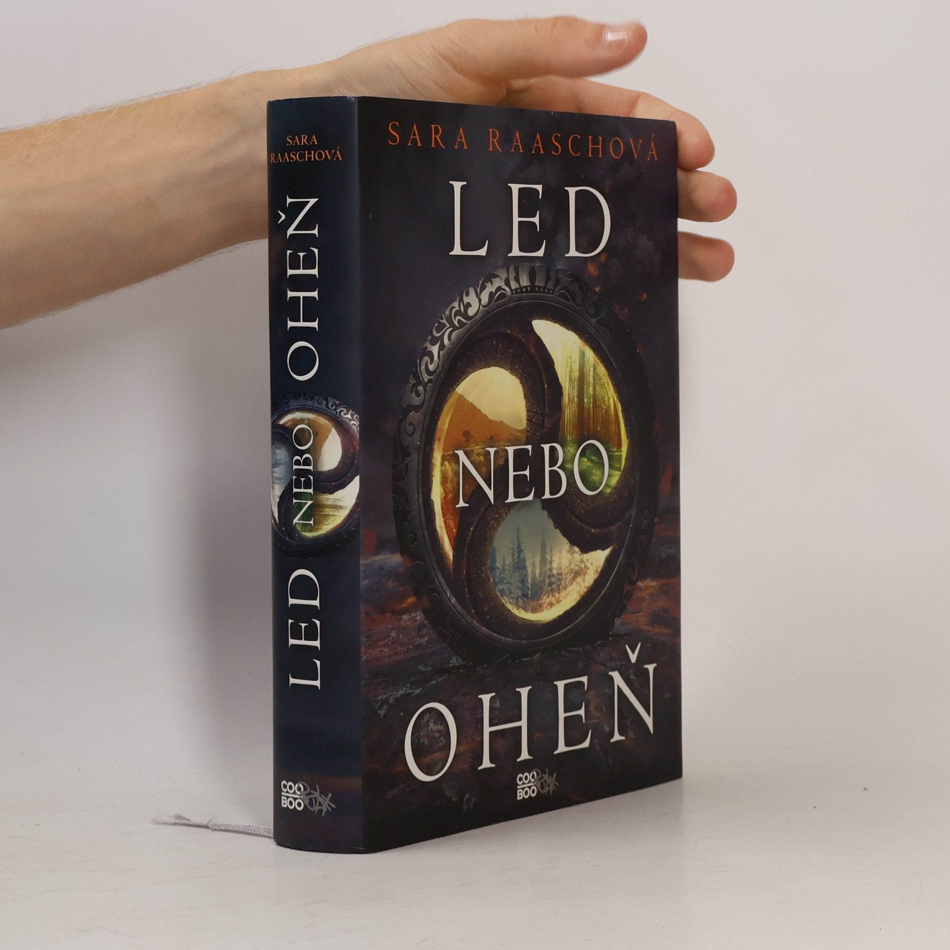 Sara Raash Led nebo oheň