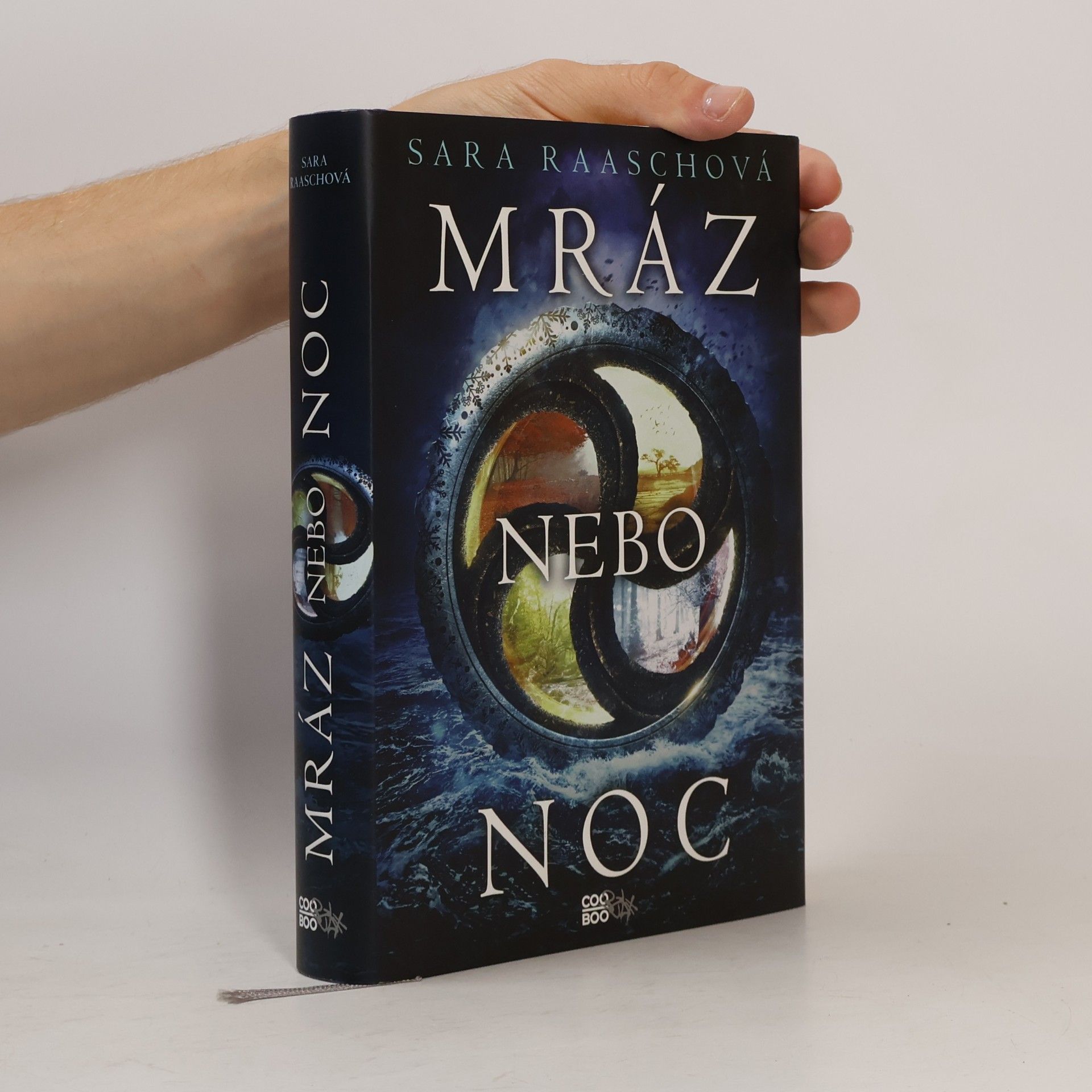 Sara Raasch Mráz nebo noc