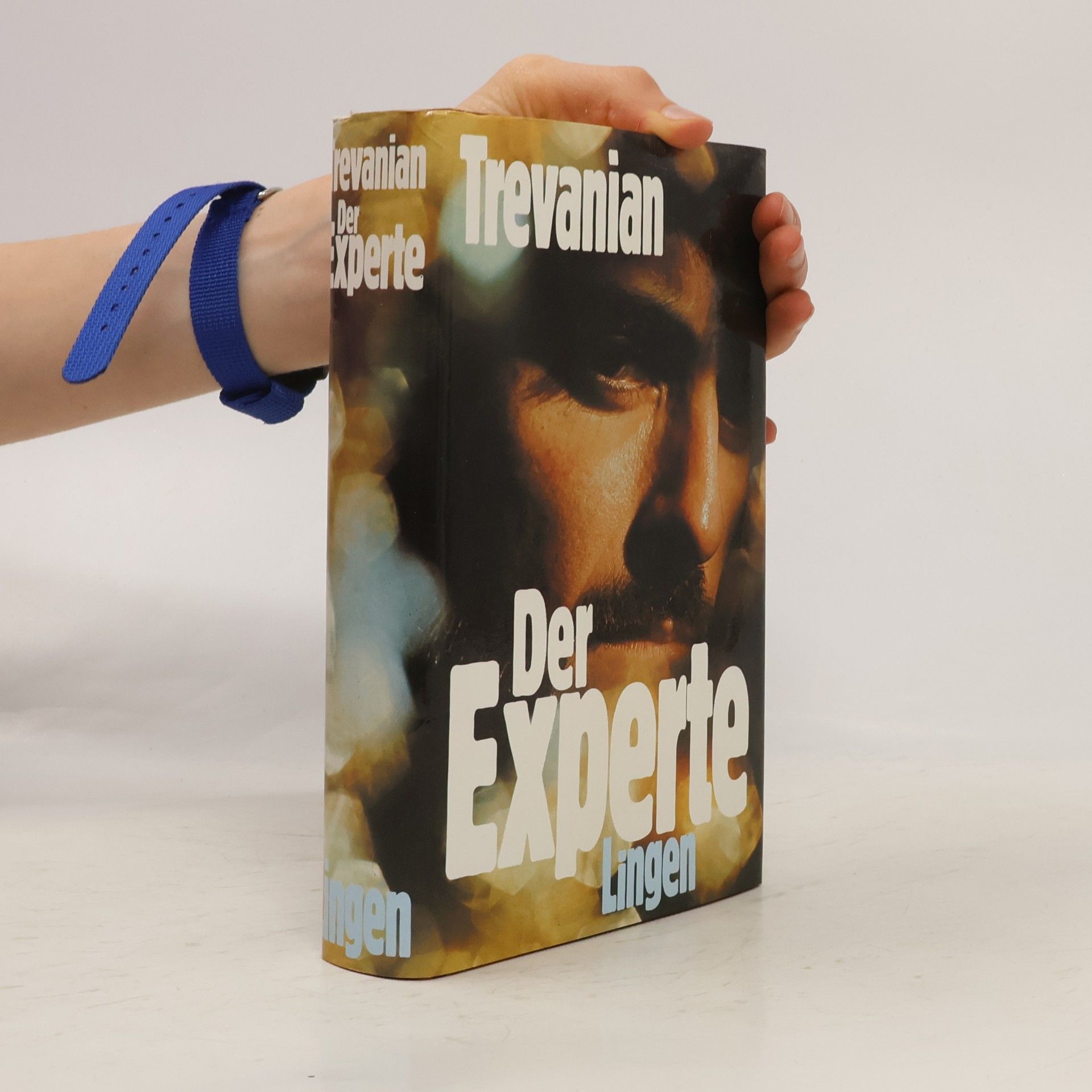 Trevanian Der Experte