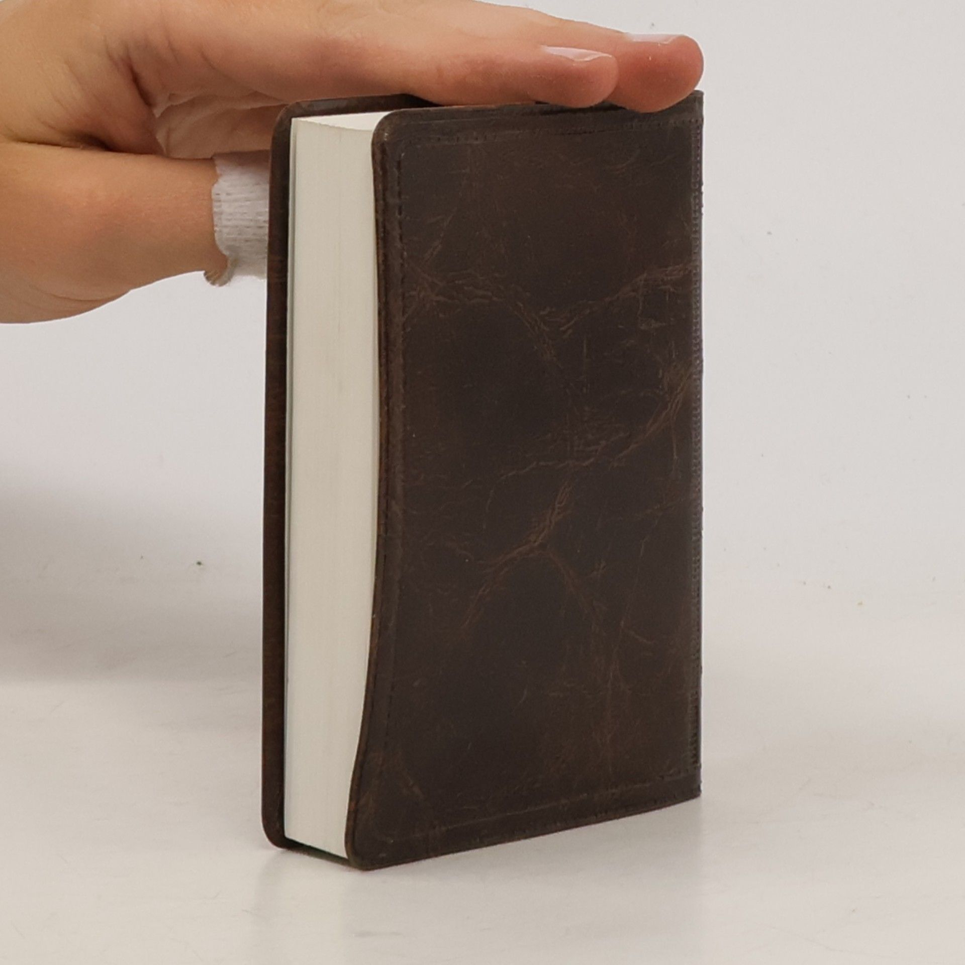 Collectif d'auteurs Neues Testament. Psalmen Sprüche