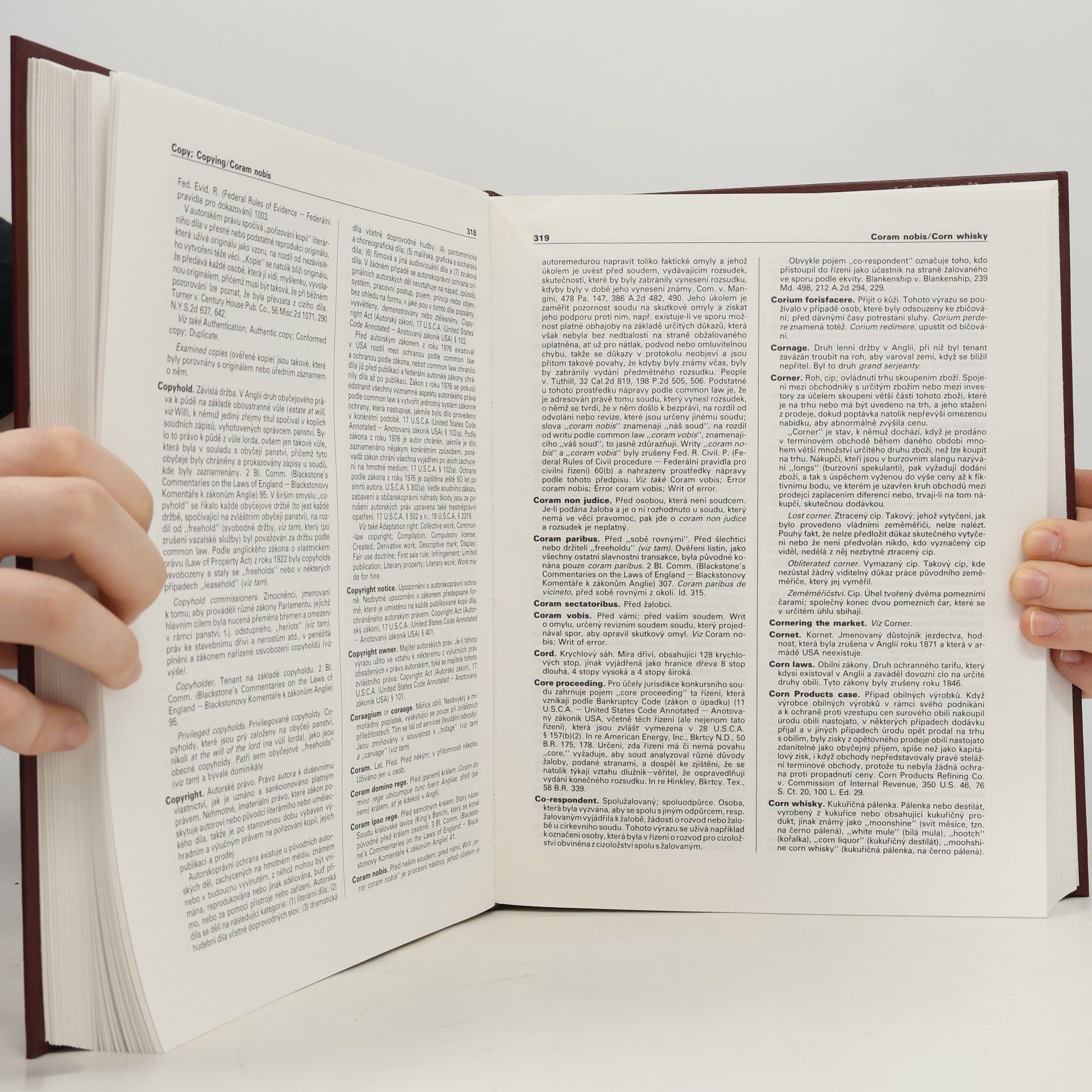 Kolektiv autorů Blackův právnický slovník A-I. J-Z
