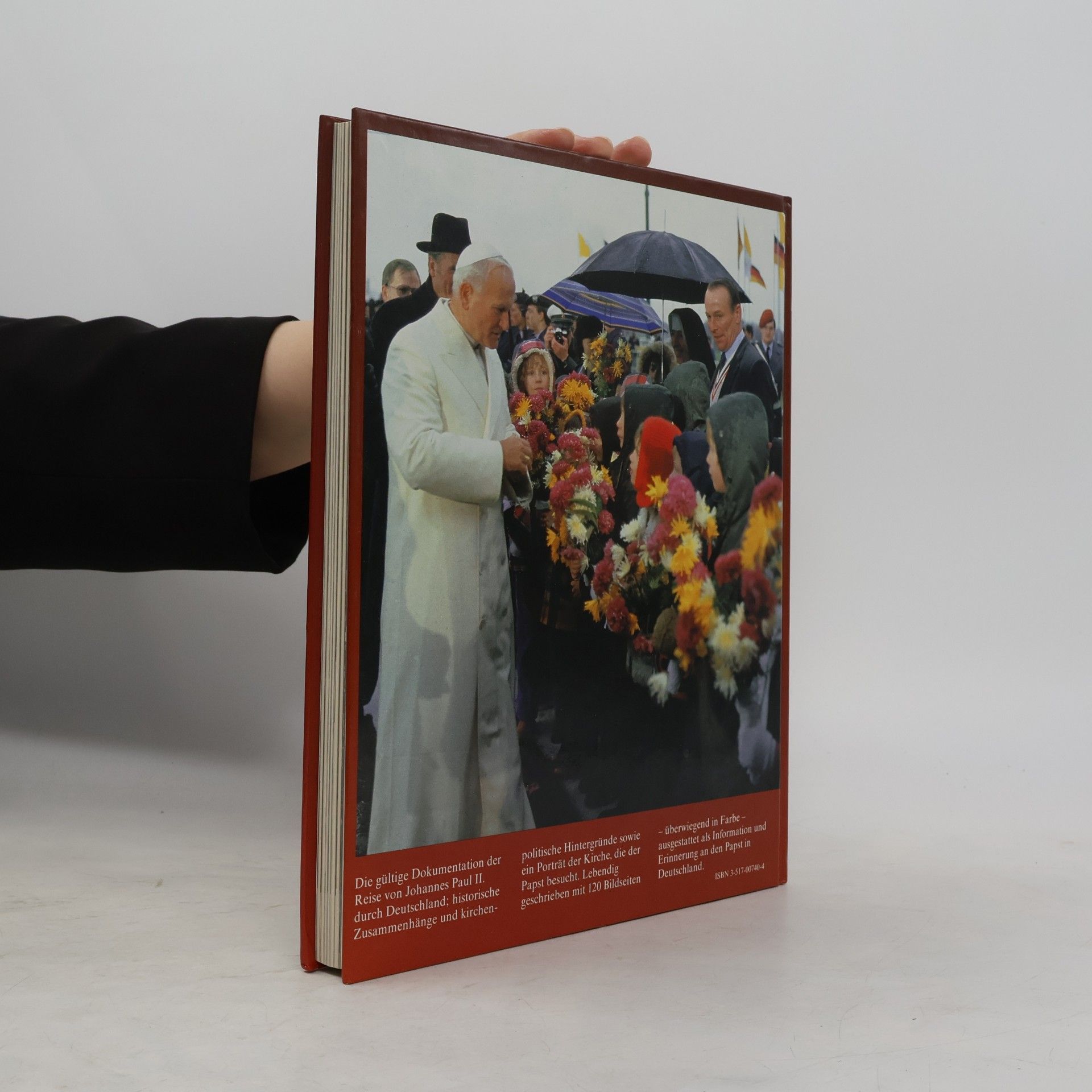 Hannes Burger Der Papst in Deutschland