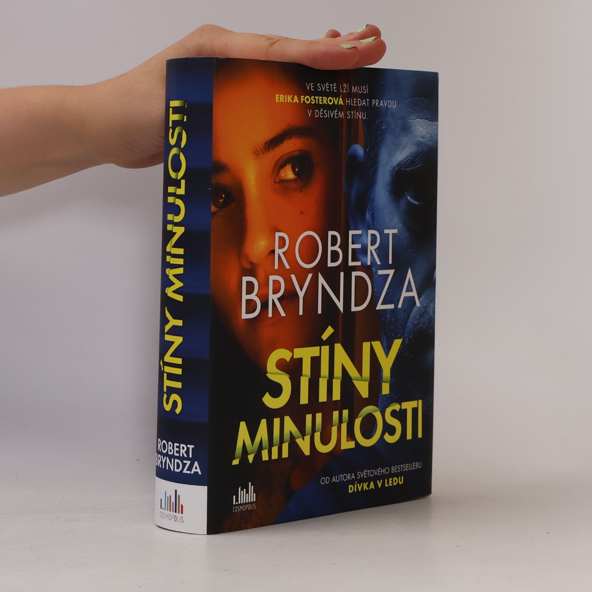 Robert Bryndza Stíny minulosti