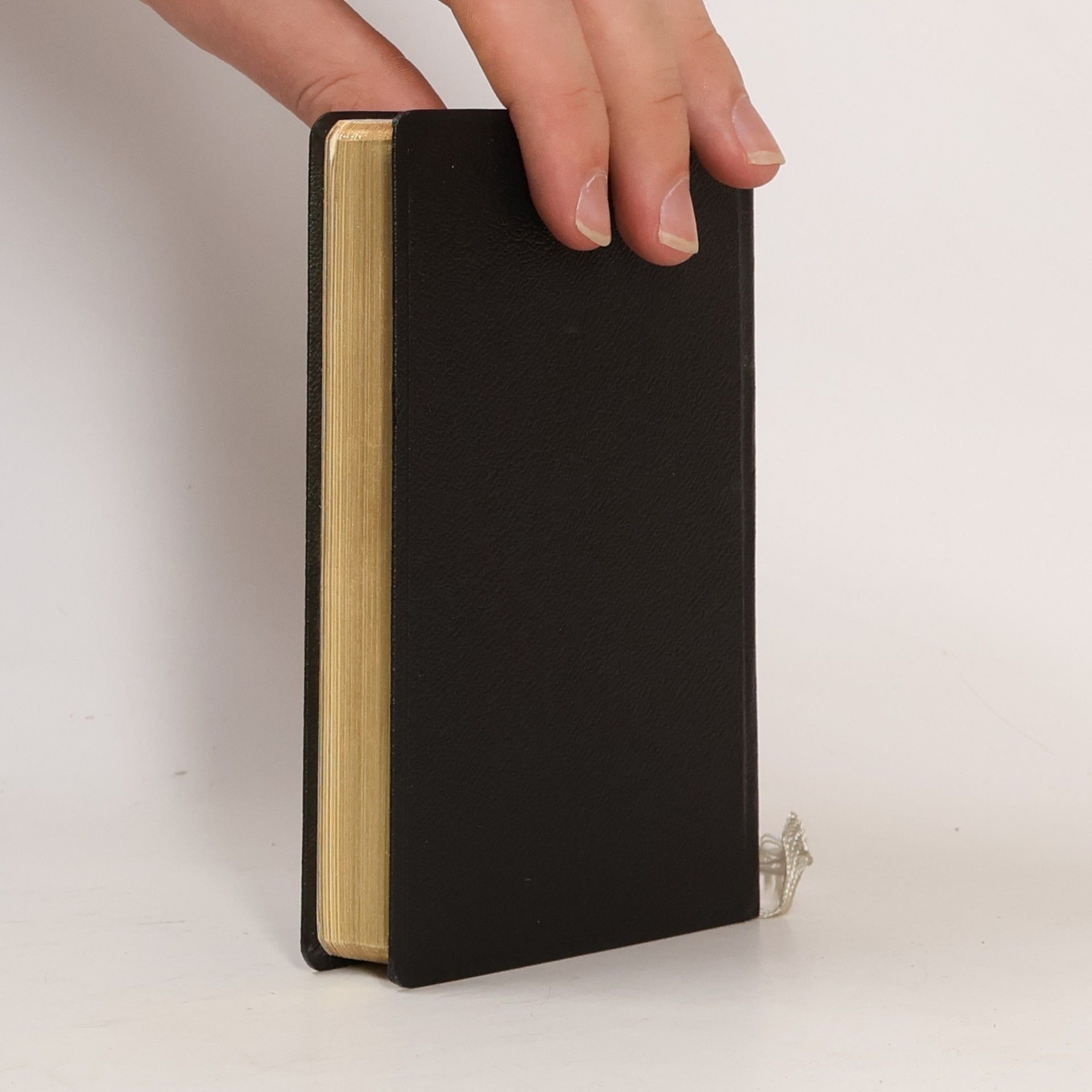 Collectif d'auteurs Gesangbuch
