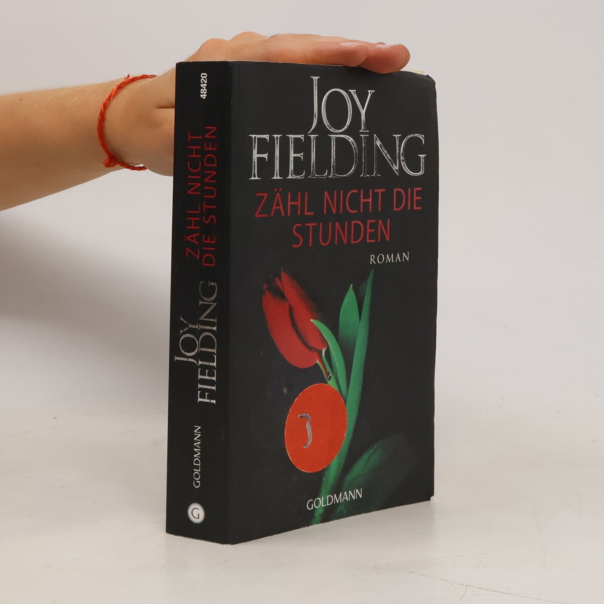 Joy Fielding Zähl nicht die Stunden