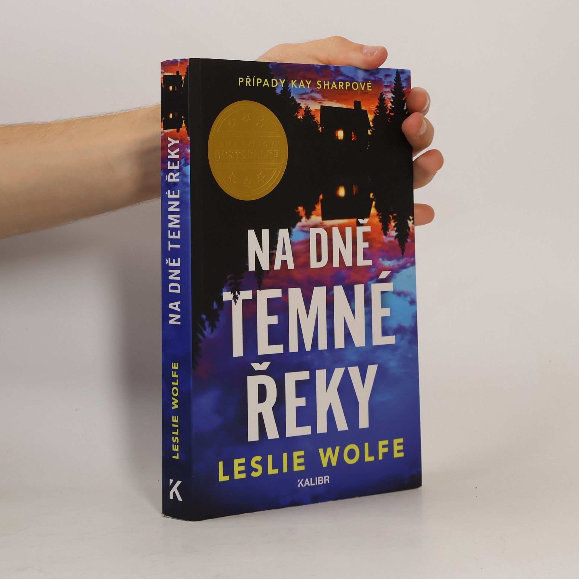 Leslie Wolfe Na dně Temné řeky