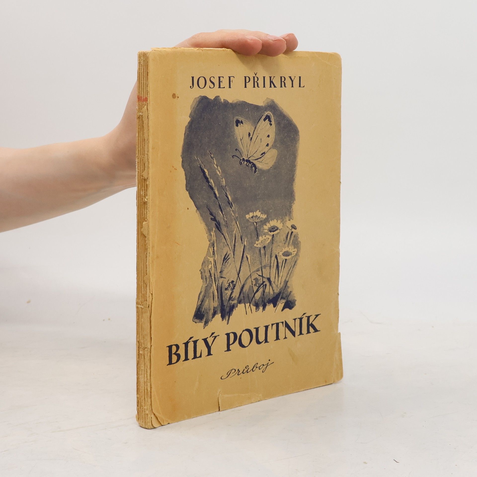 Josef Přikryl Bílý poutník