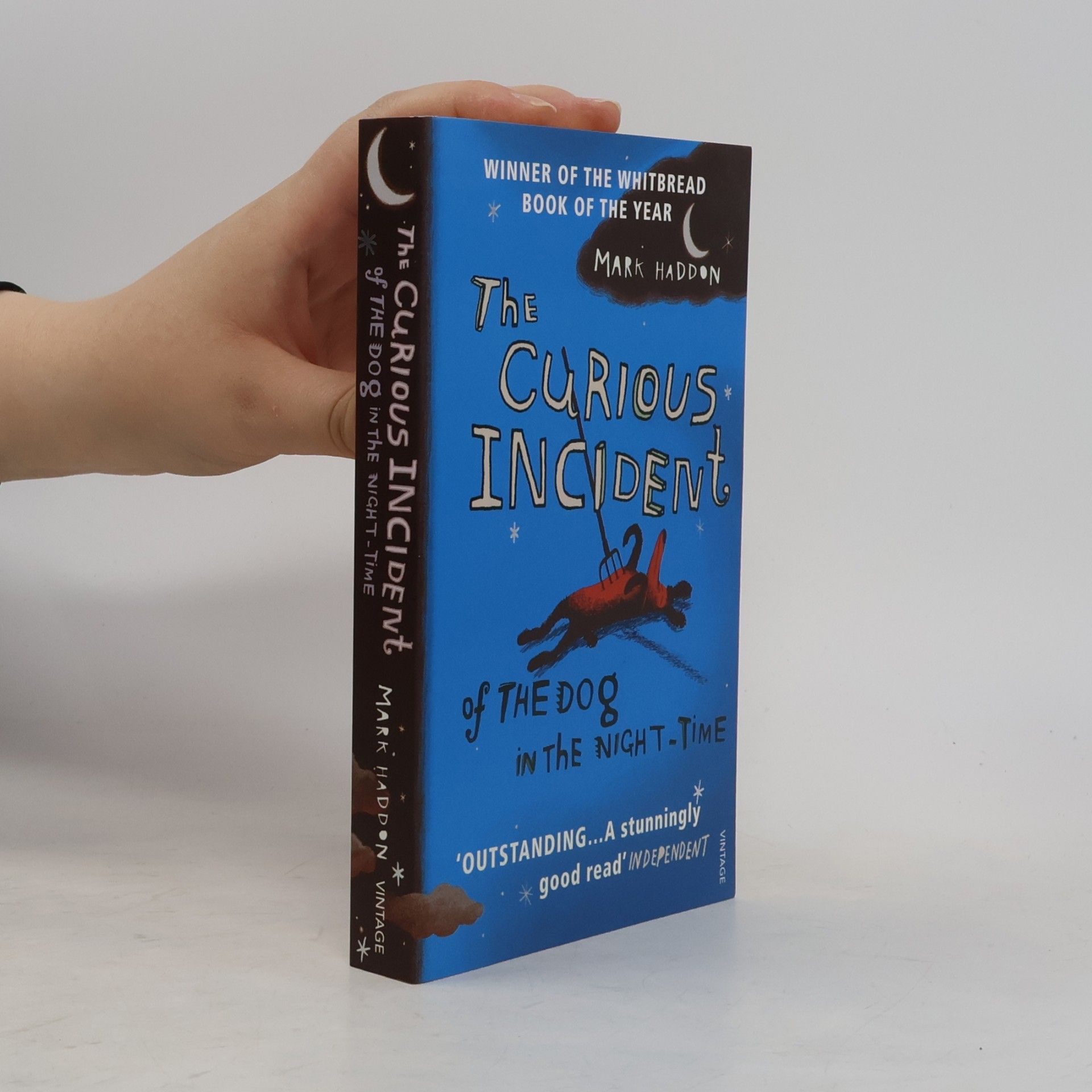 Mark Haddon The Curious Incident of the Dog in the Night-Time