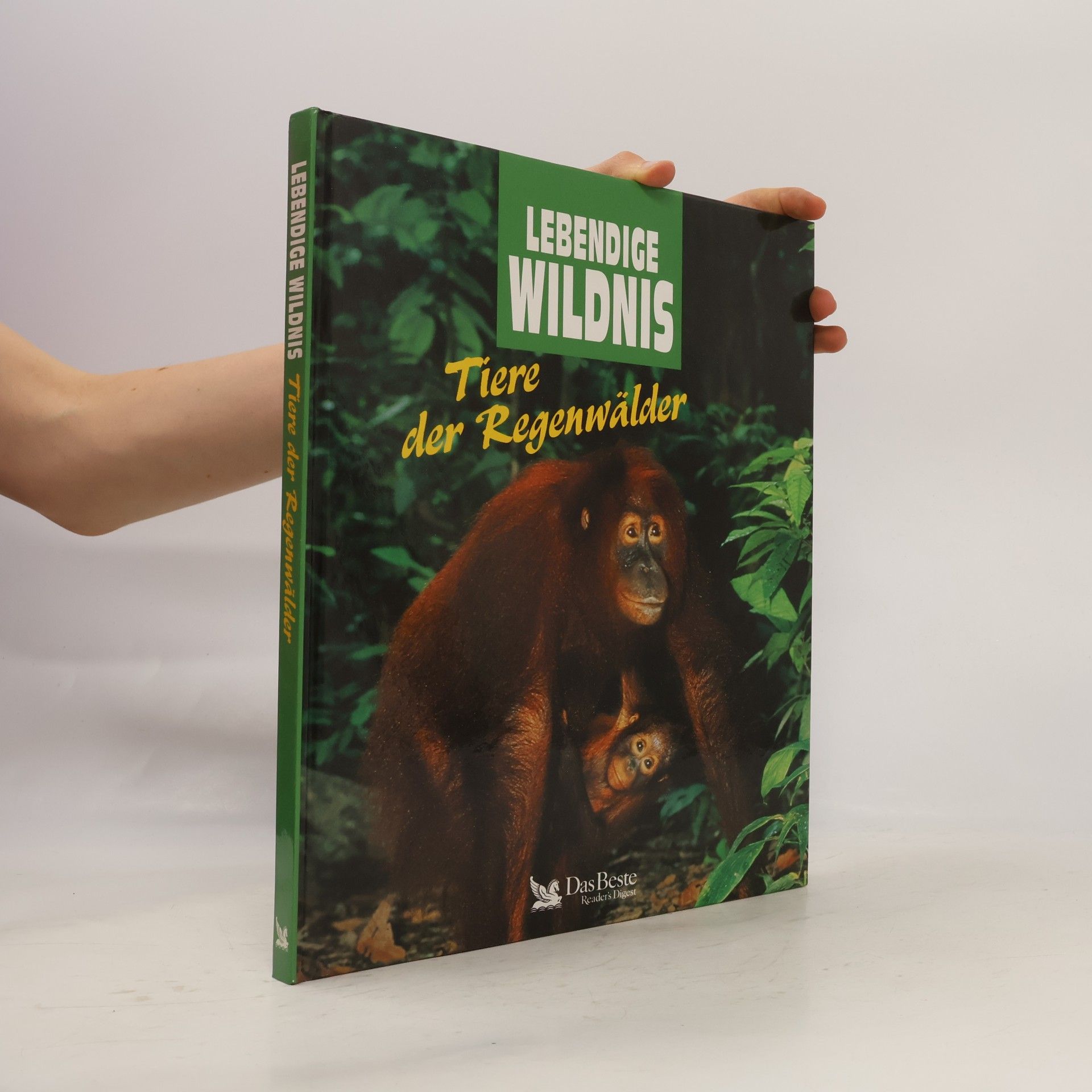 Sybille A. Rott Illfeld Tiere der Regenwälder