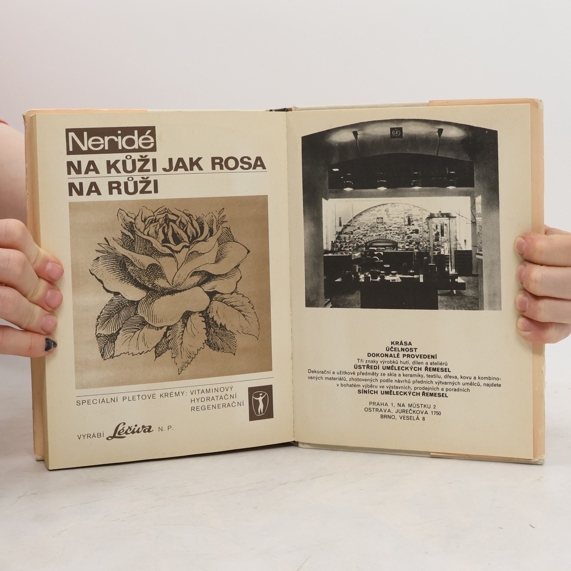 Various authors Encyklopedie mladé ženy