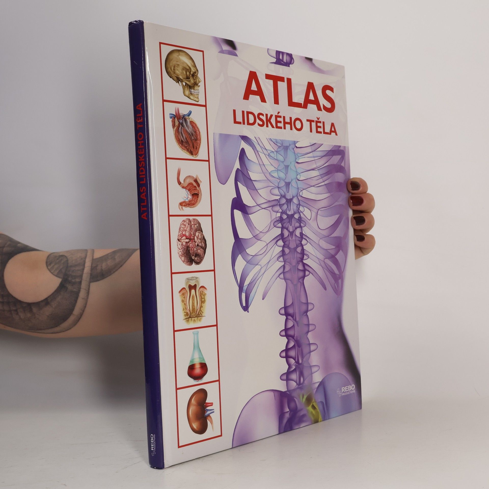 Kolektiv autorů Atlas lidského těla