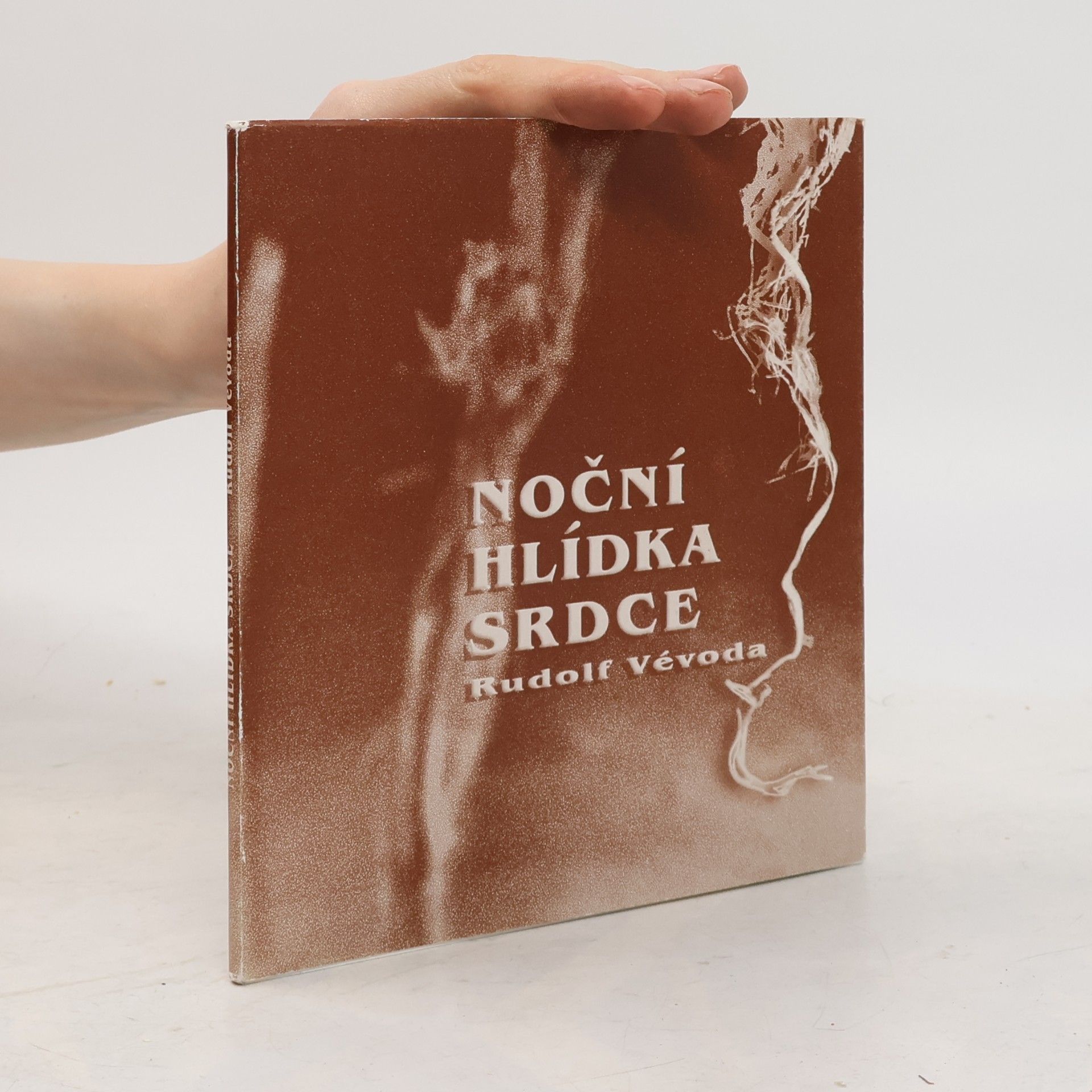 Rudolf Vévoda Noční hlídka srdce