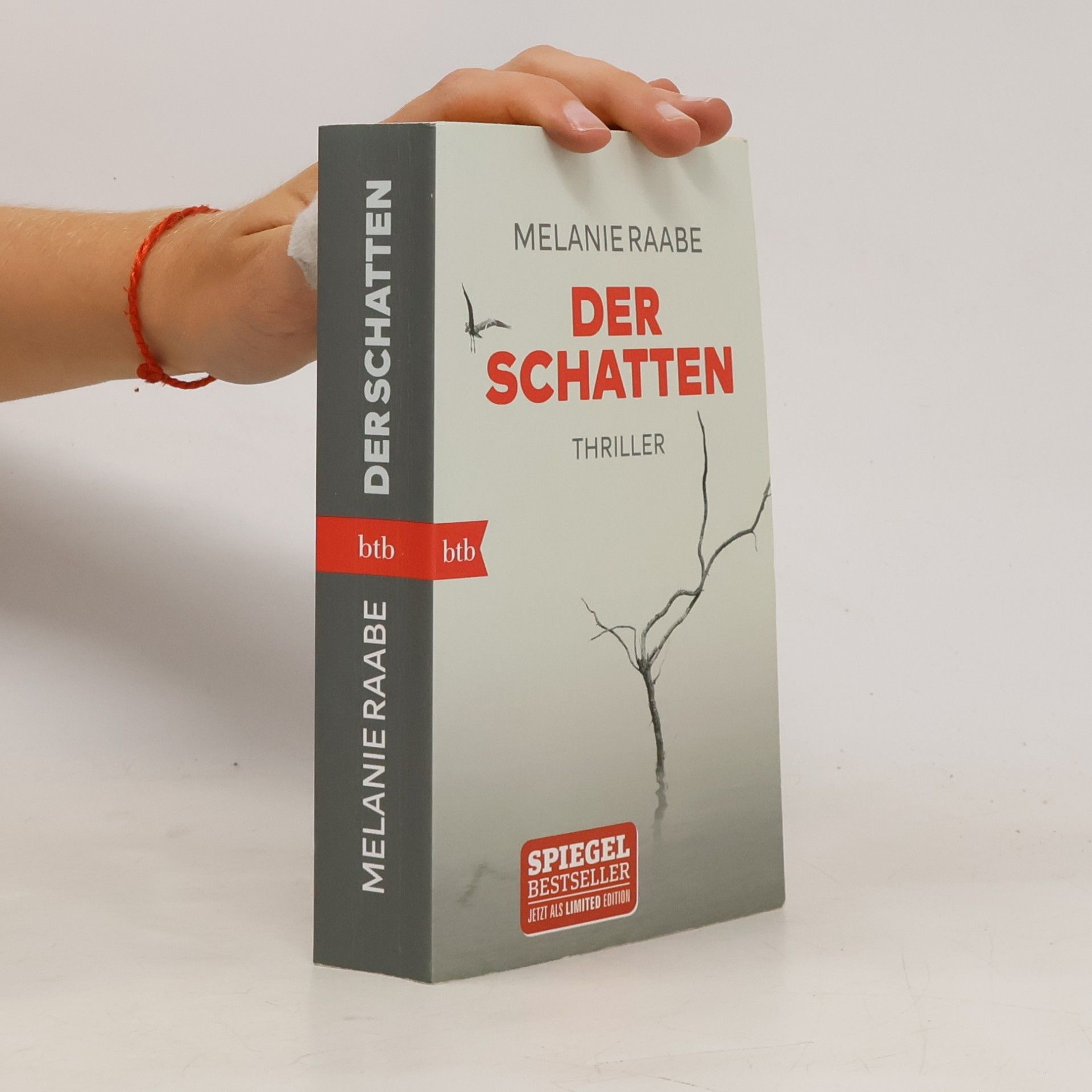 Melanie Raabe Der Schatten