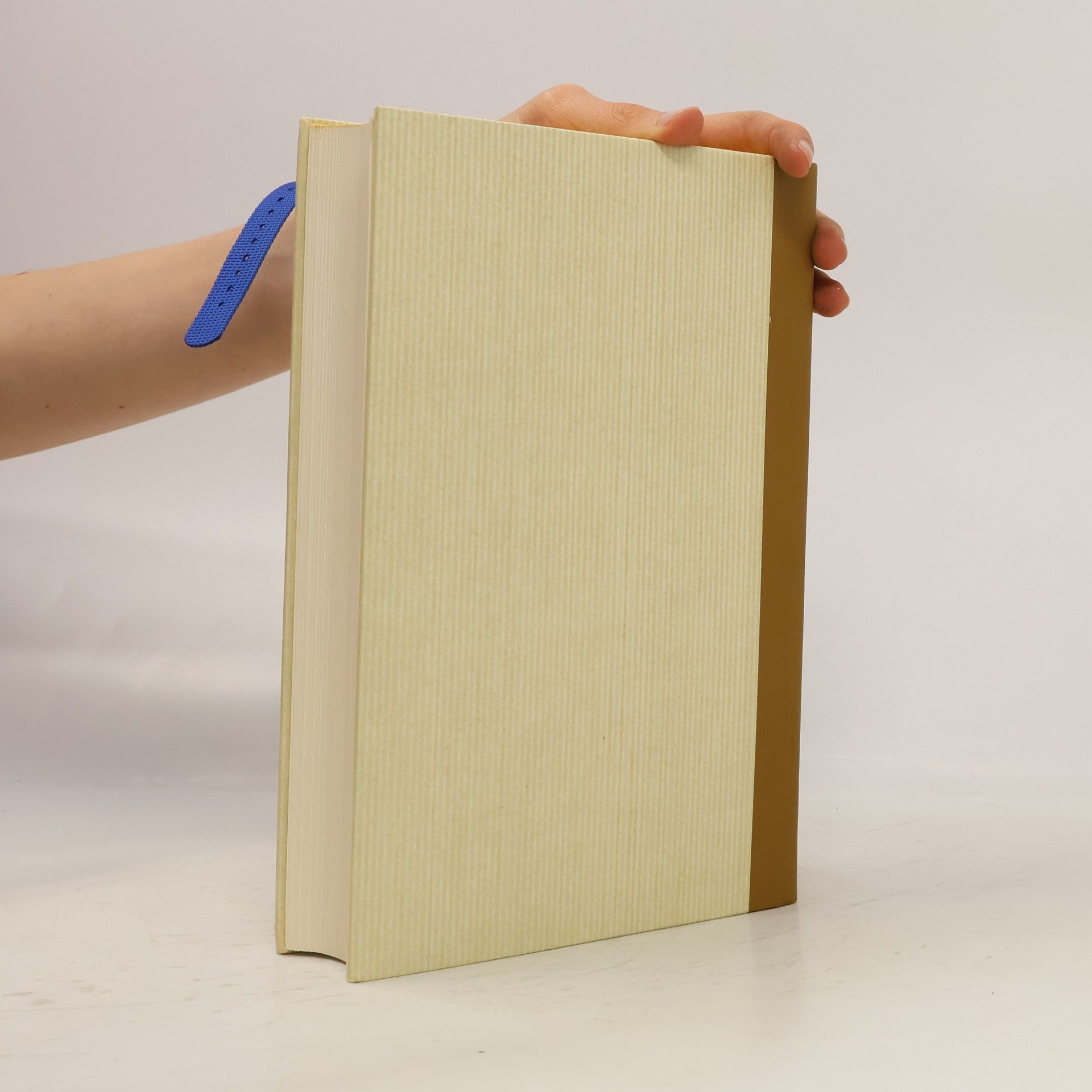 Martin Luther Die gantze Heilige Schrifft Deudsch I.