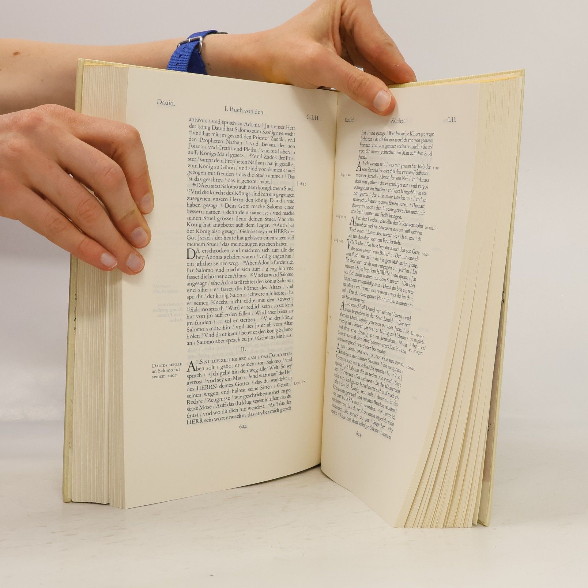 Martin Luther Die gantze Heilige Schrifft Deudsch I.