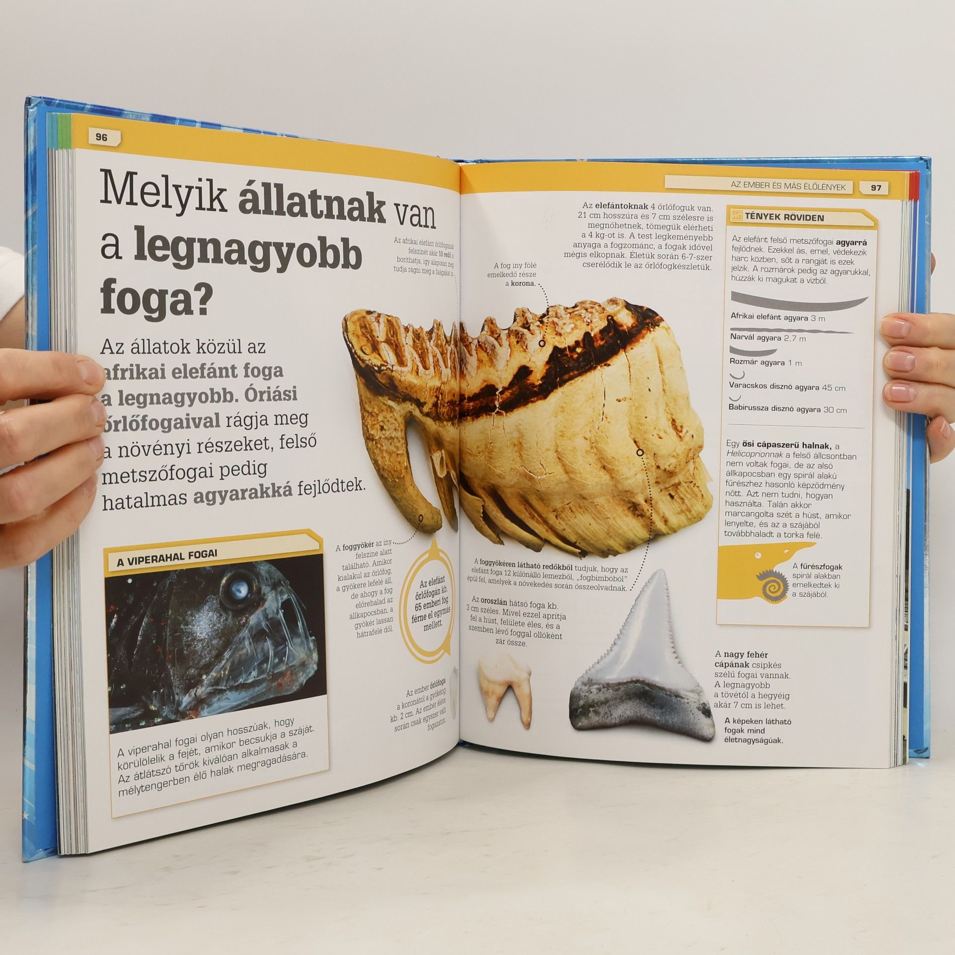 Ezt nem hiszem el!