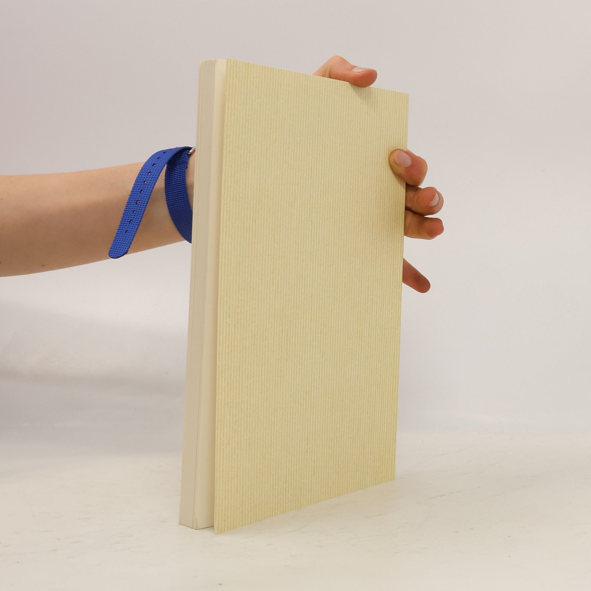 Martin Luther Die gantze Heilige Schrifft Deudsch