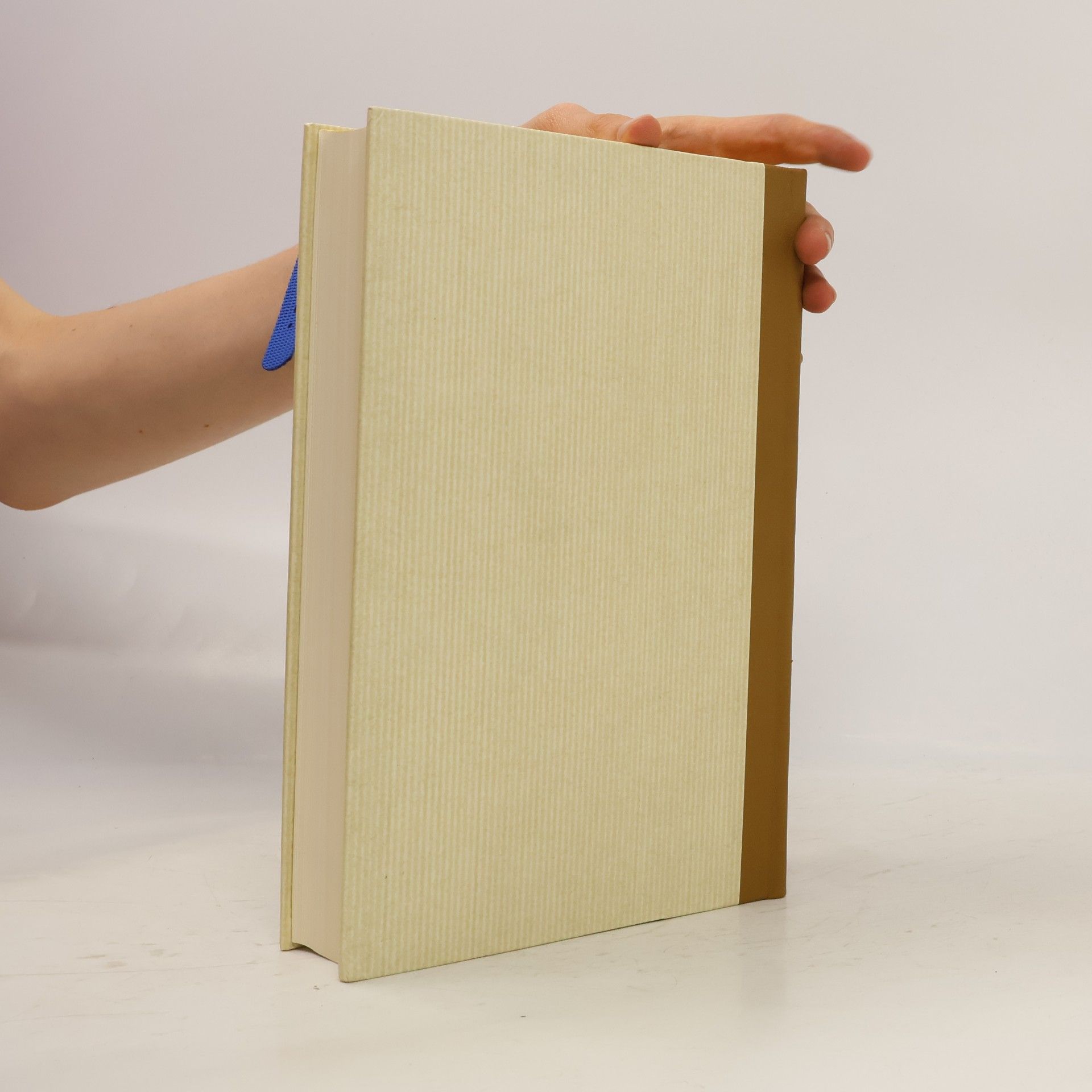 Martin Luther Die gantze Heilige Schrifft Deudsch II