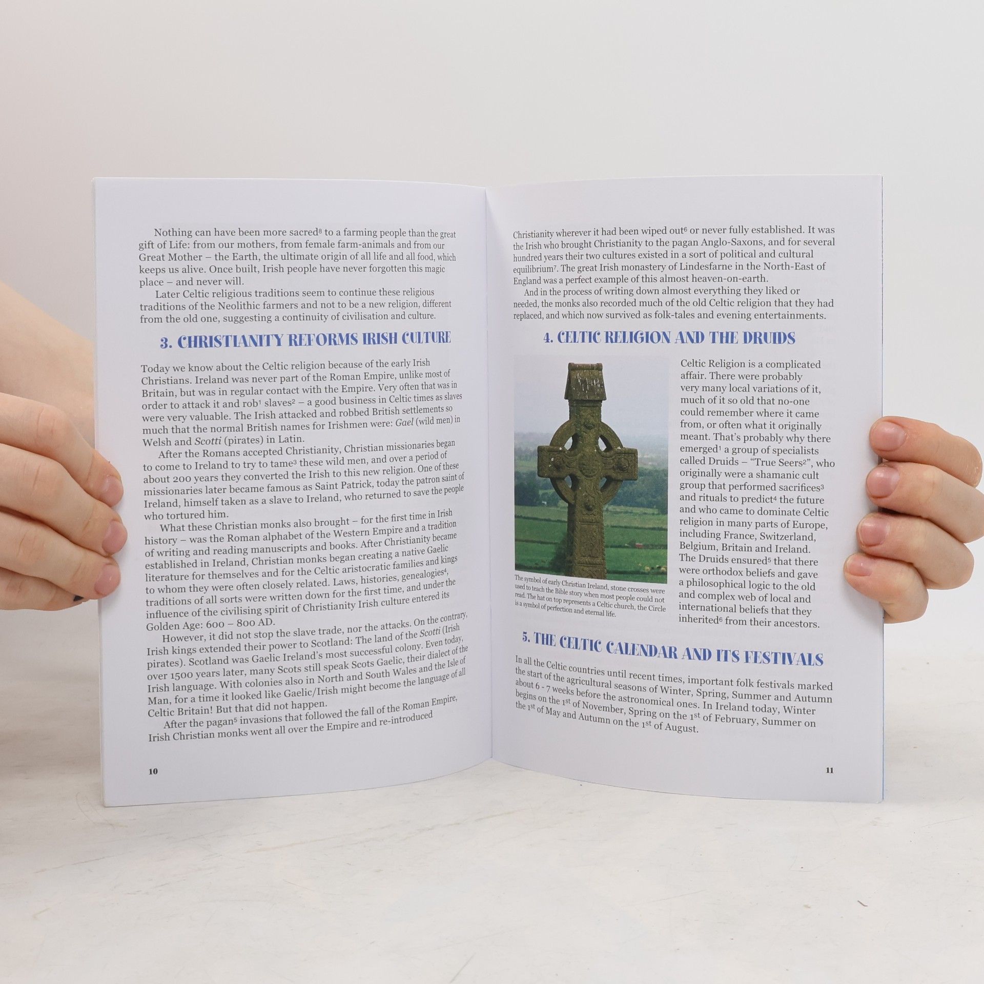 Mícheál Ua Séaghdha The Story of Ireland a Bridge Between Celtic and Modern America and Europe