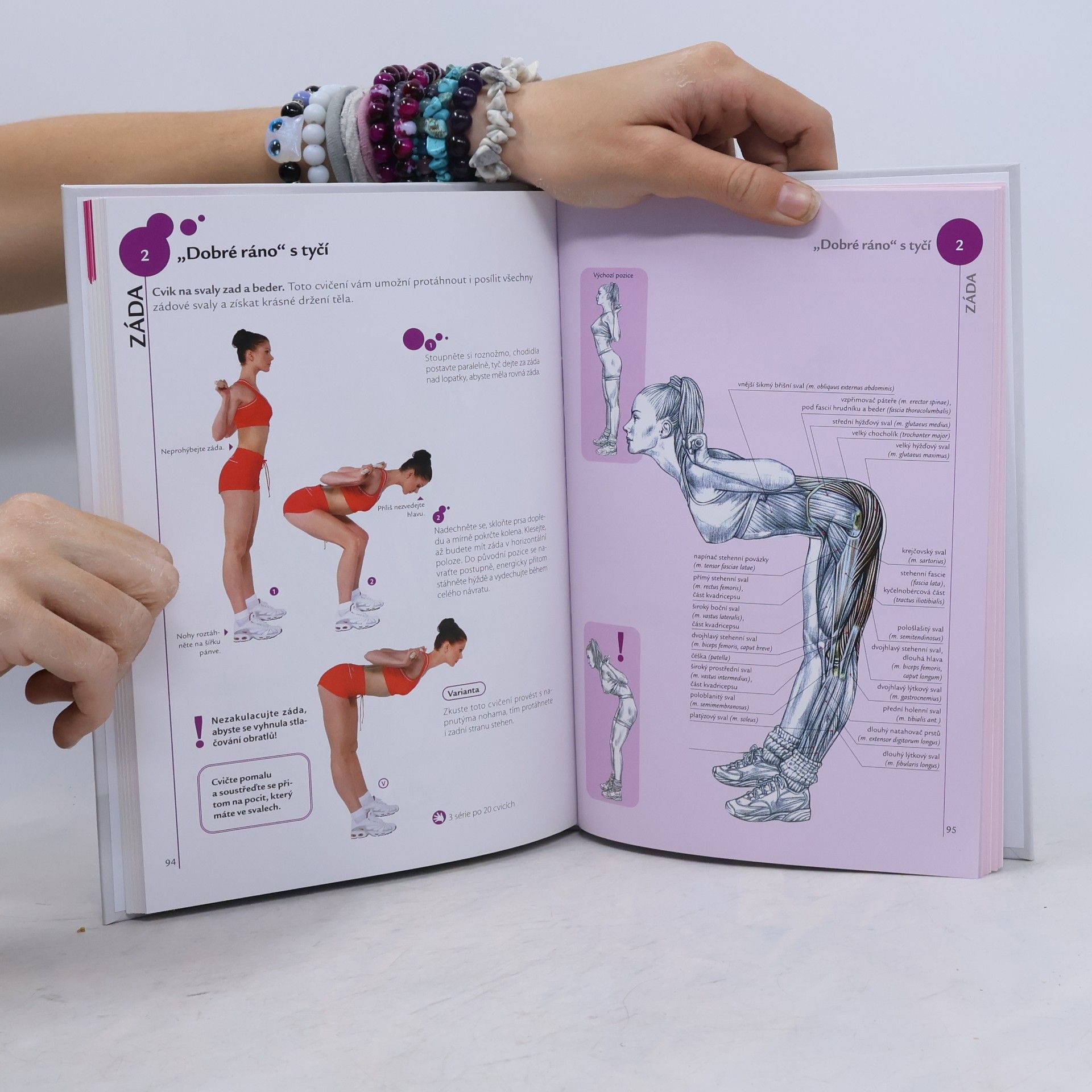Jean Pierre Clémenceau Fitness pro ženy - anatomie