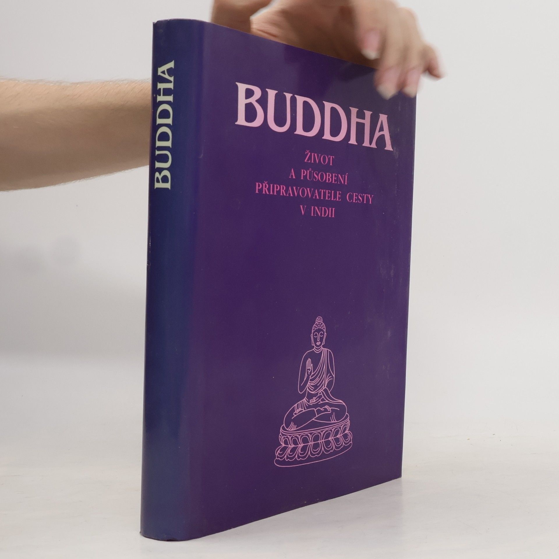 Kolektiv autorů Buddha