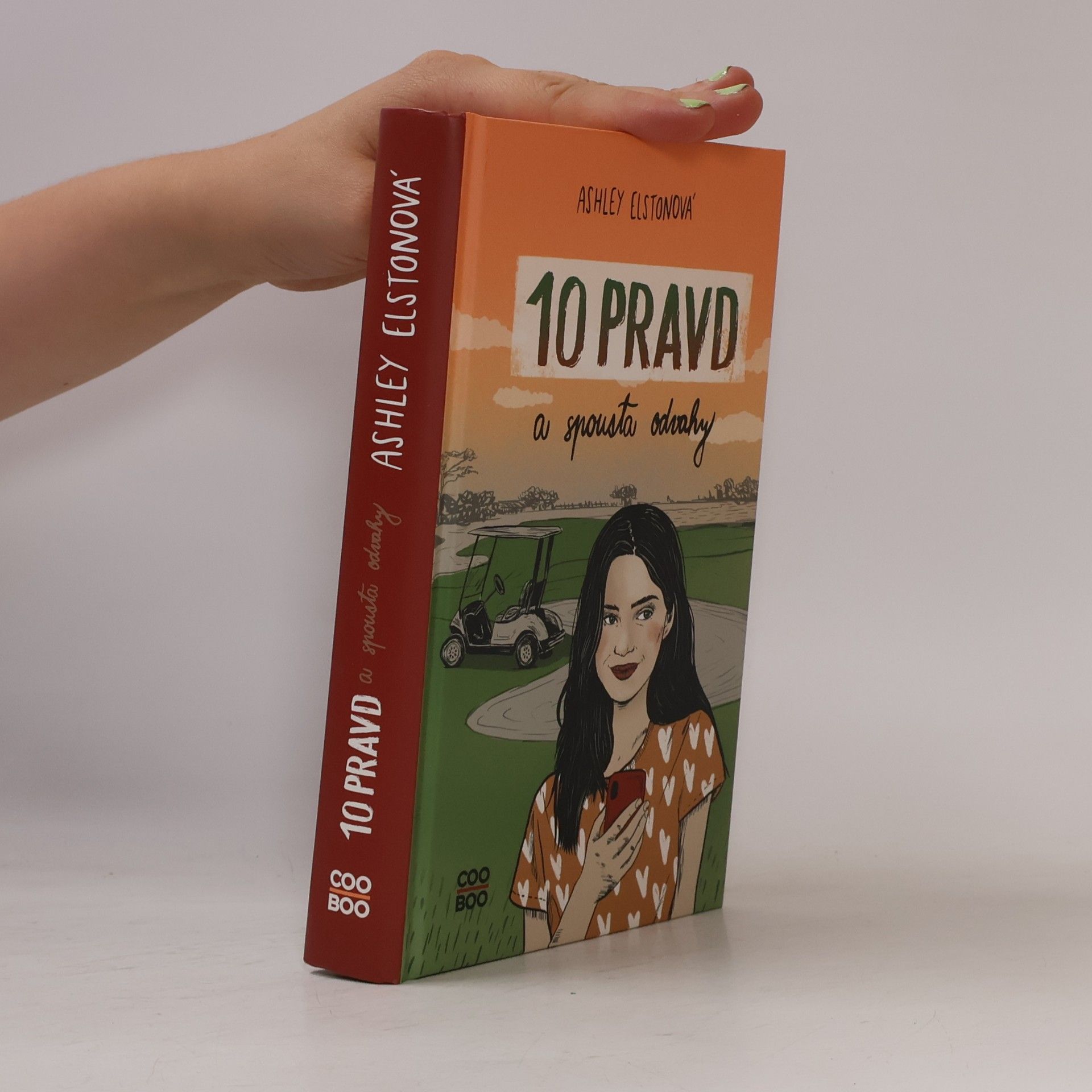 Ashley Elston 10 pravd a spousta odvahy