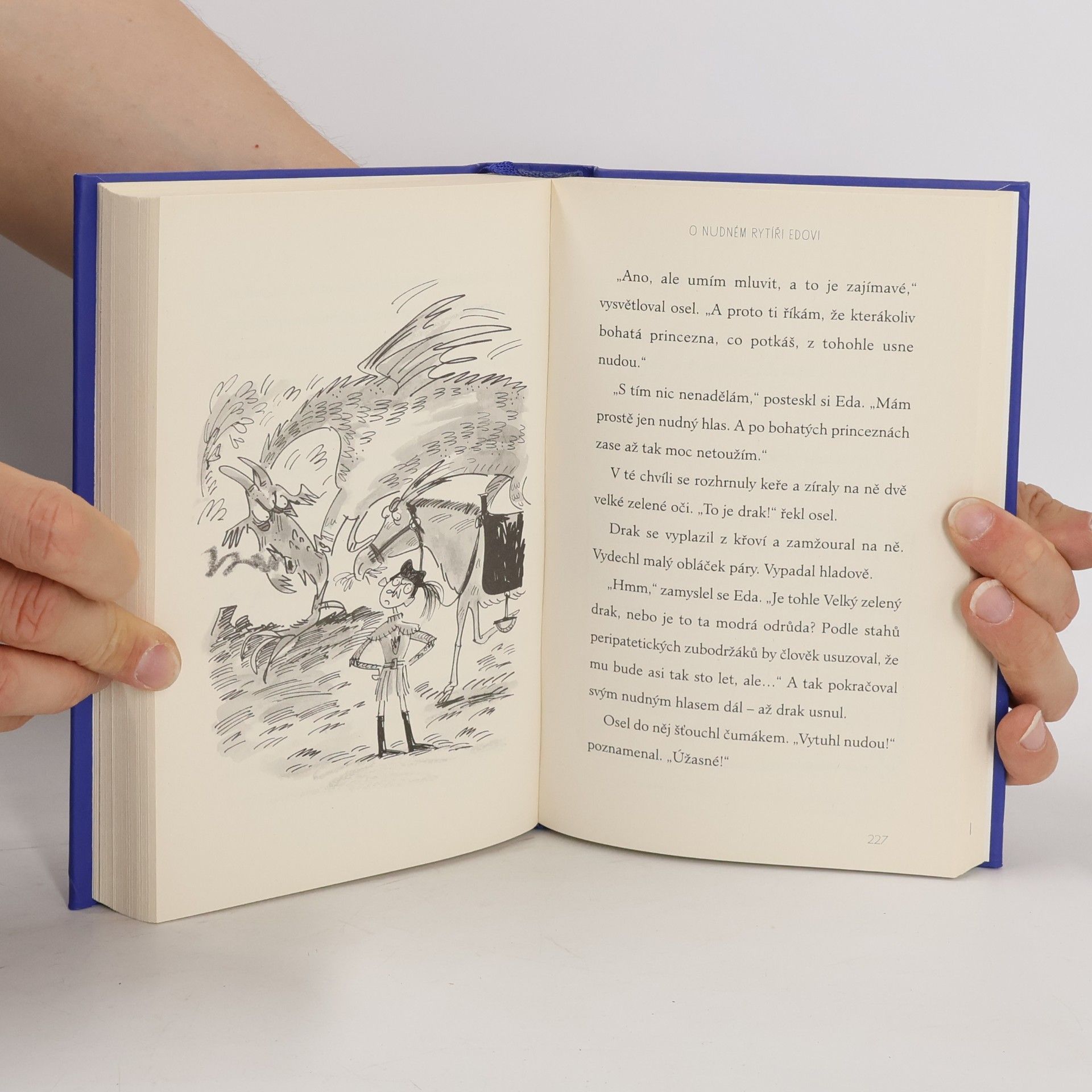 Terry Pratchett Draci na hradě Ruinově