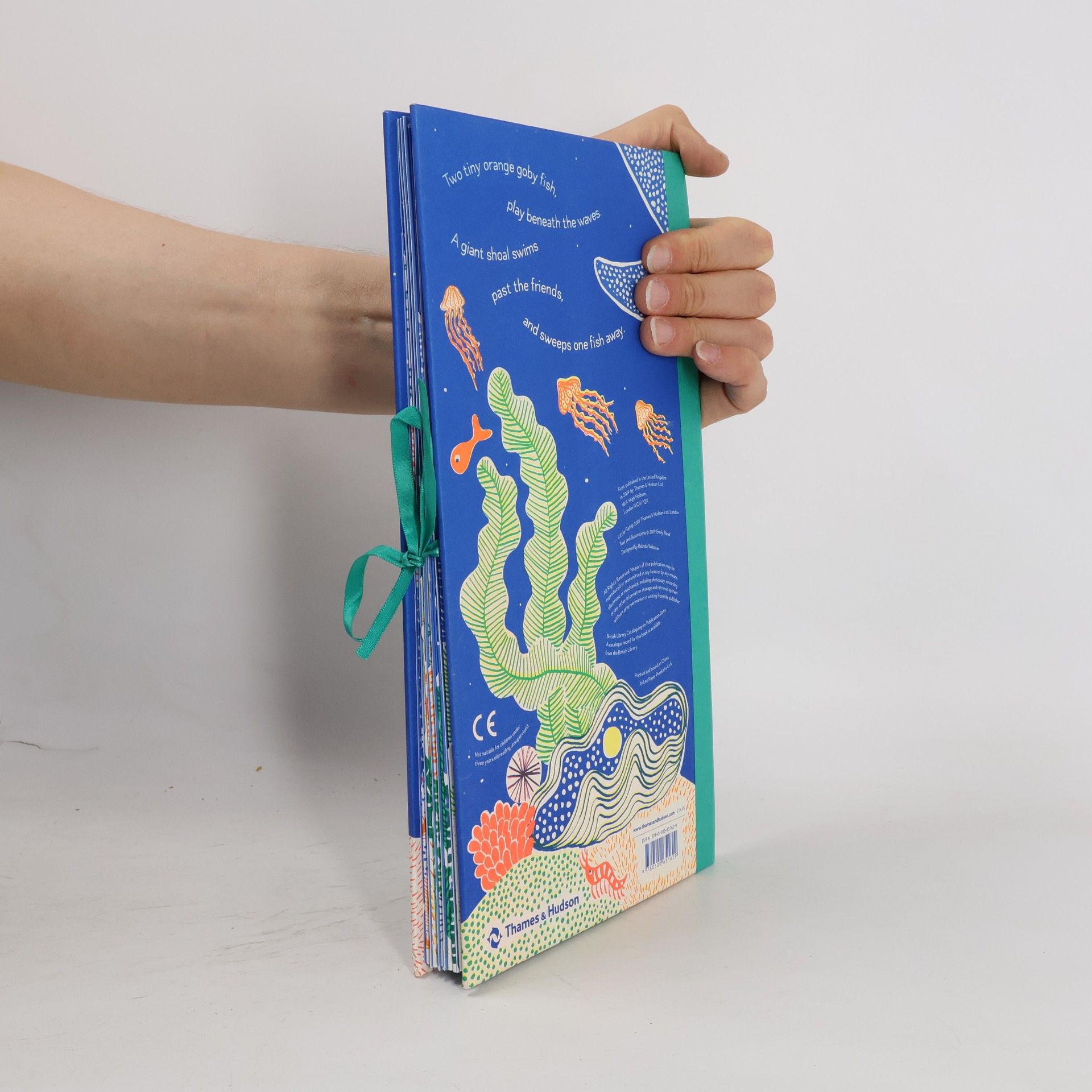 Thames & Hudson Ltd Little Fish