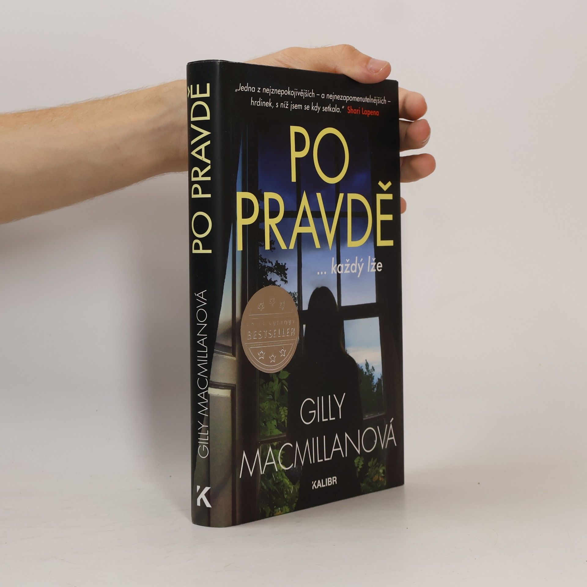Gilly Macmillan Po pravdě ...každý lže