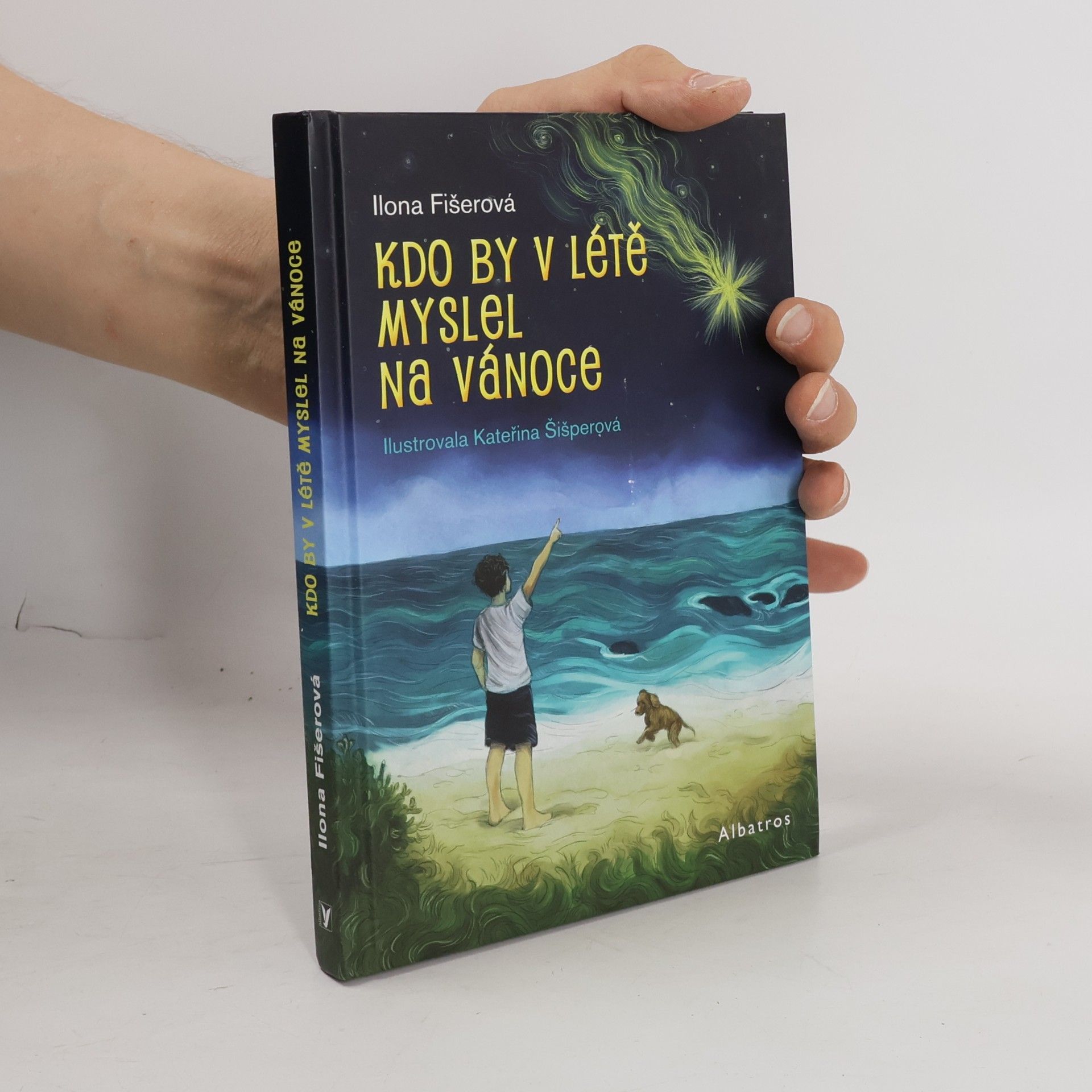 Jan Melíšek Kdo by v létě myslel na Vánoce